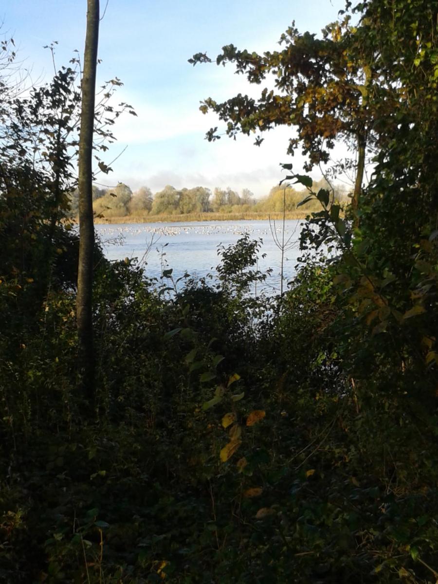 Haus der Sinne view 2