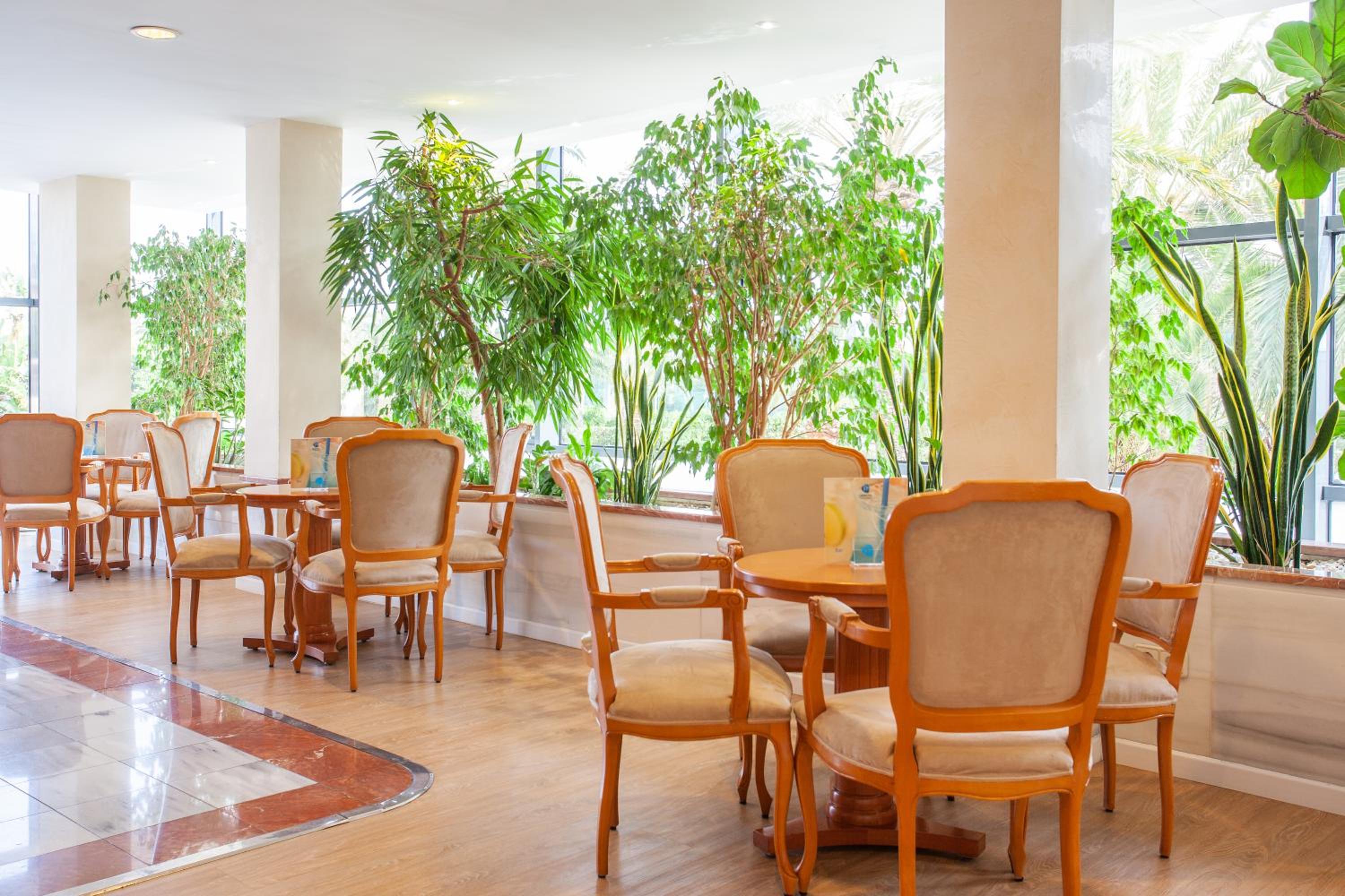 Playa de Palma Vacations - Grupotel Taurus Park - Property Image 4