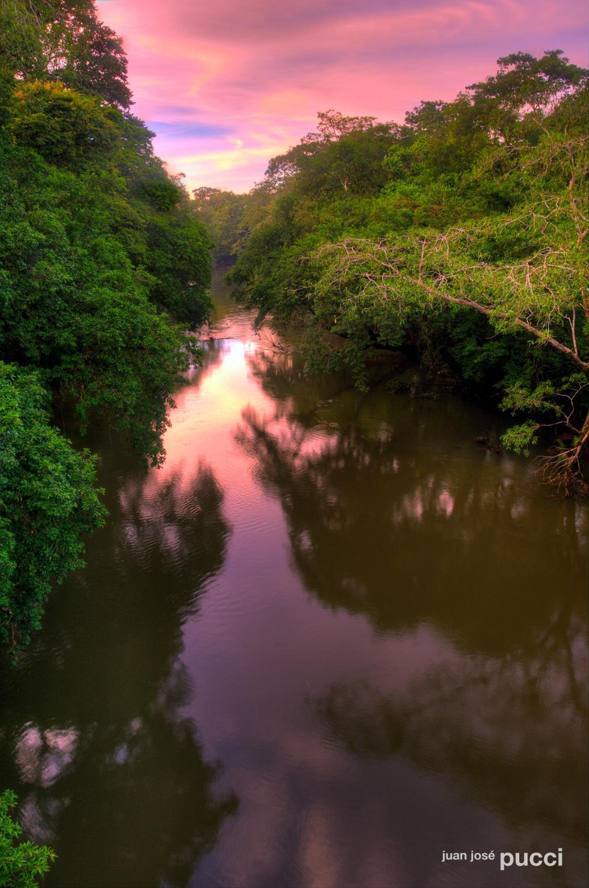 Hotel La Selva Biological Station - Image 1