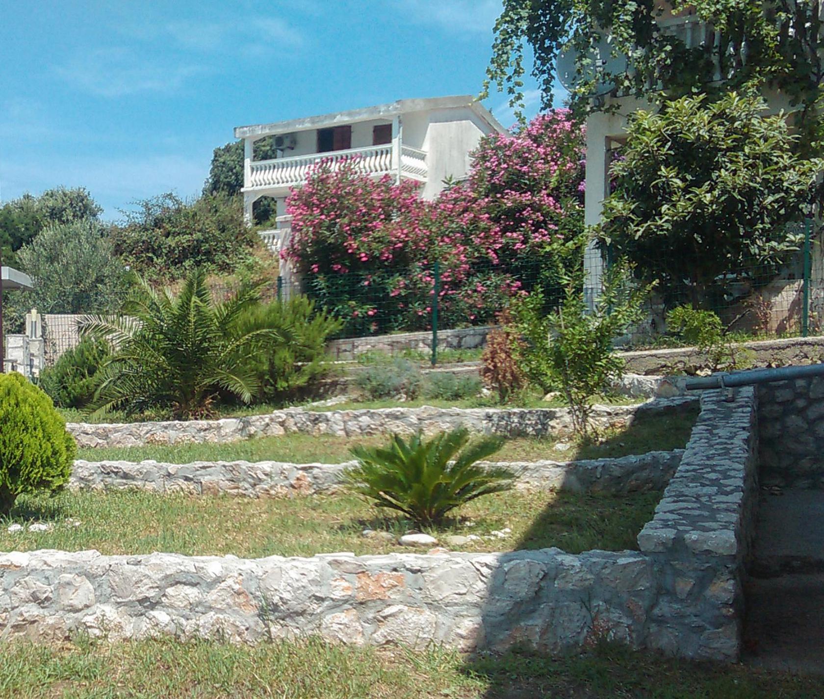 Photo 24