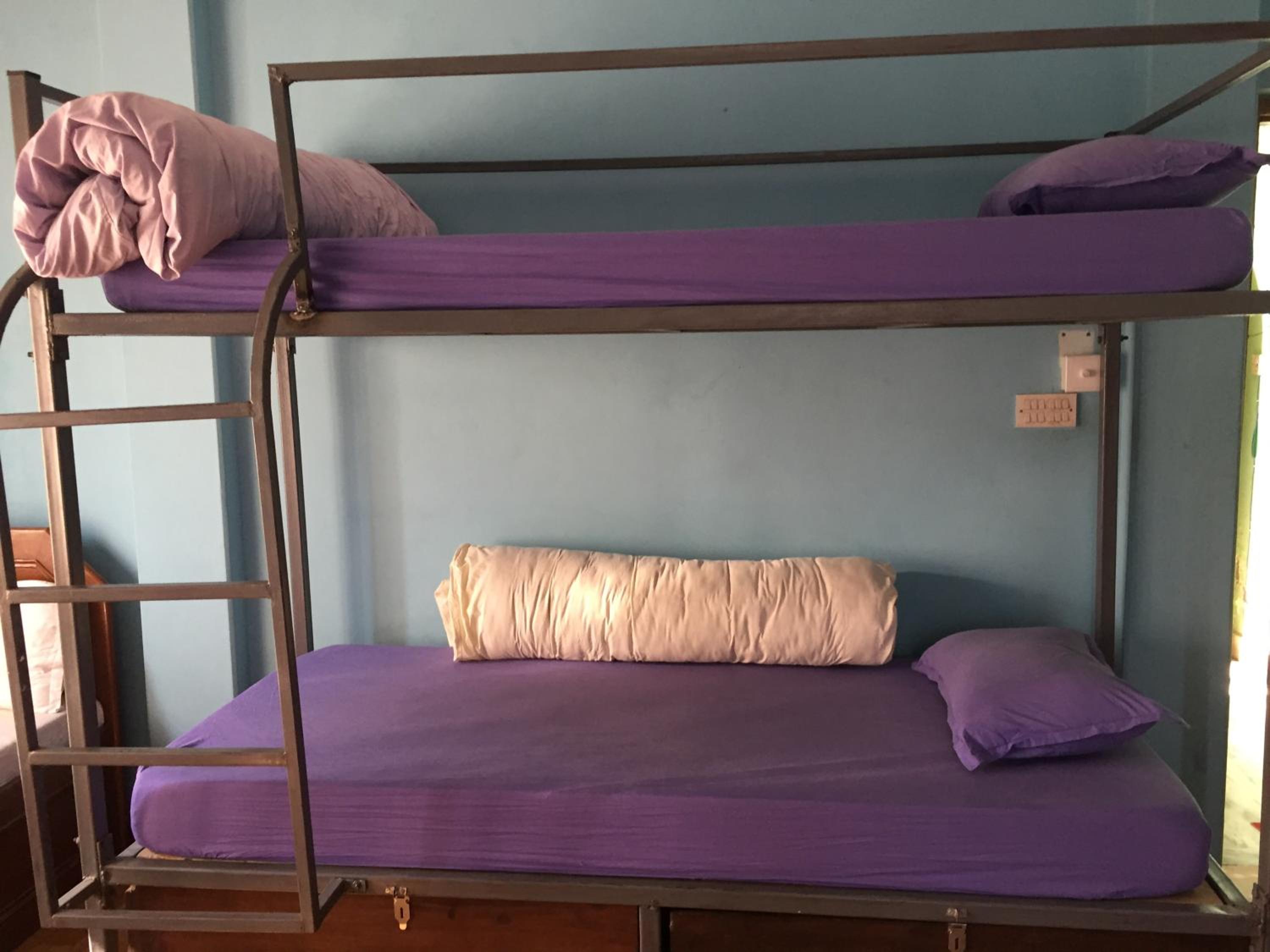 Nepalaya Eco Hostel view 5