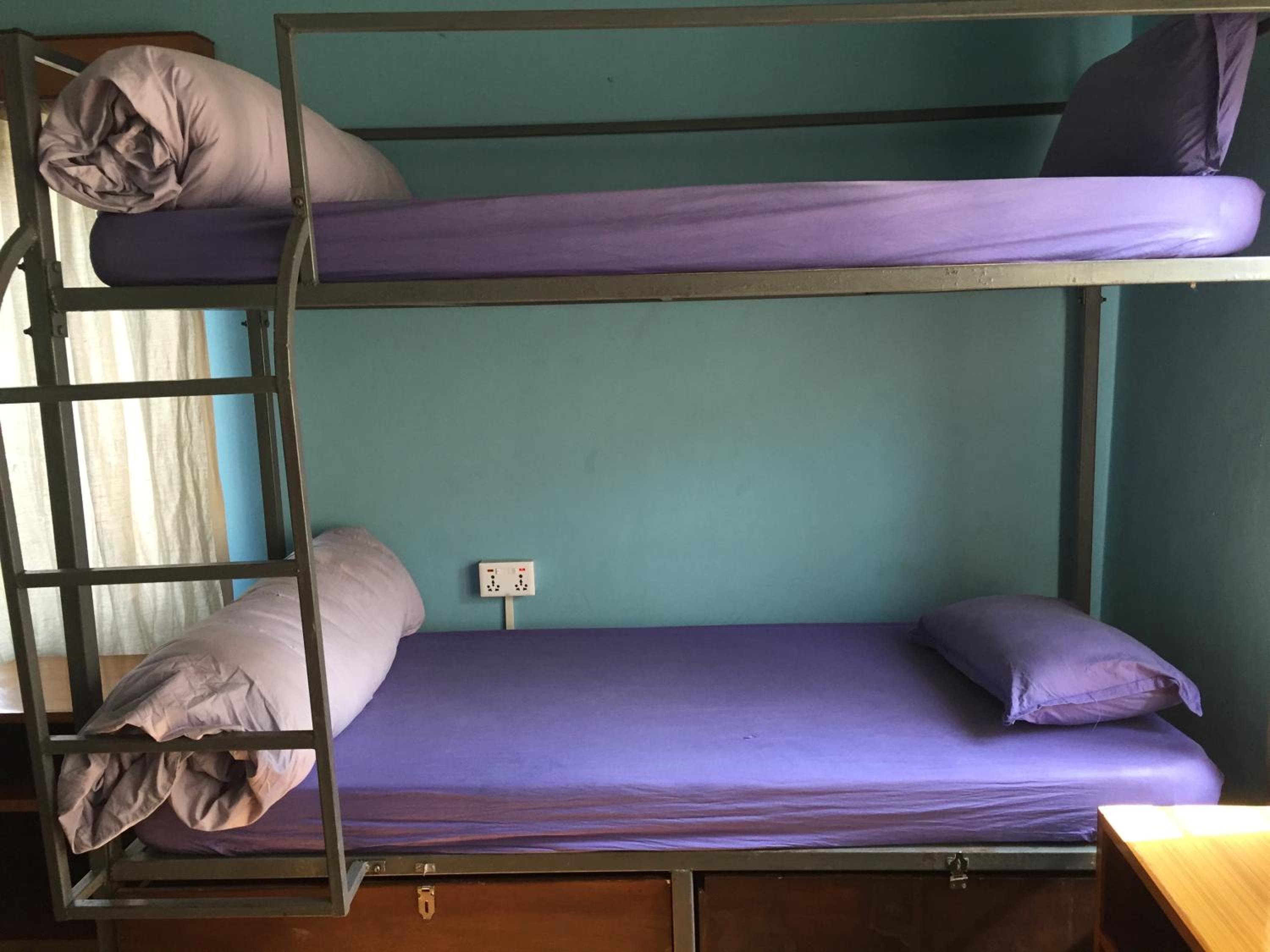Nepalaya Eco Hostel view 4