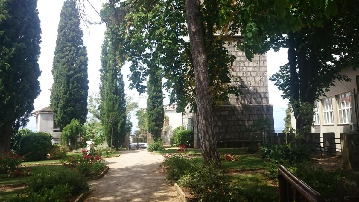 Photo 36