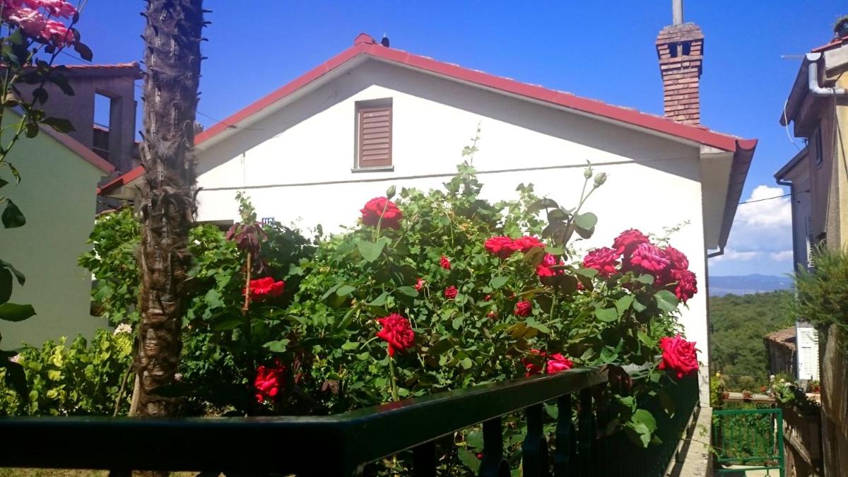 Holiday House Palma view 3