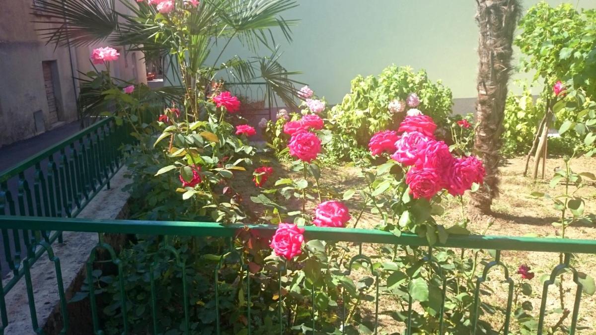 Photo 35