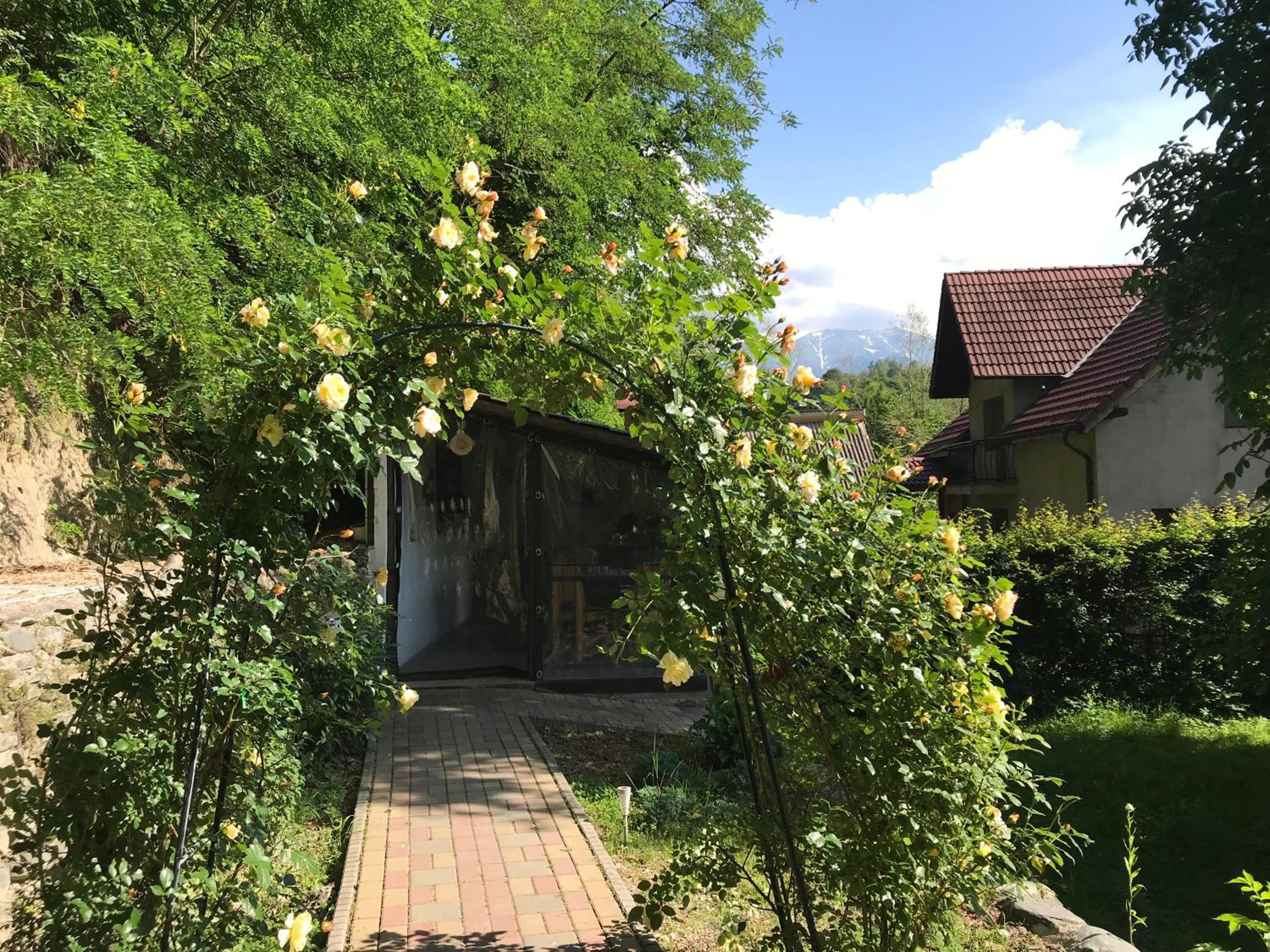 Photo 27