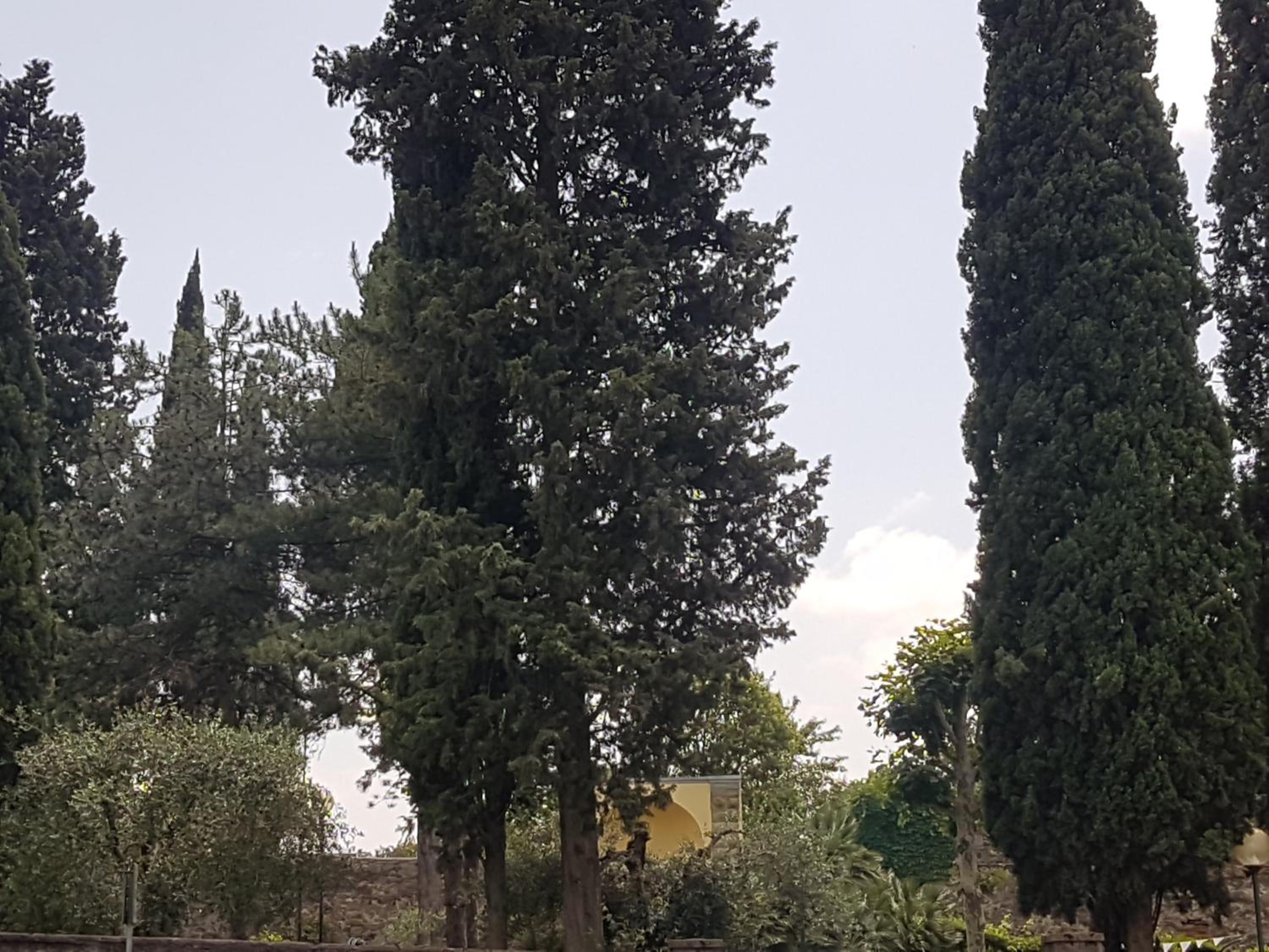 Piccolo Poggio Apartments