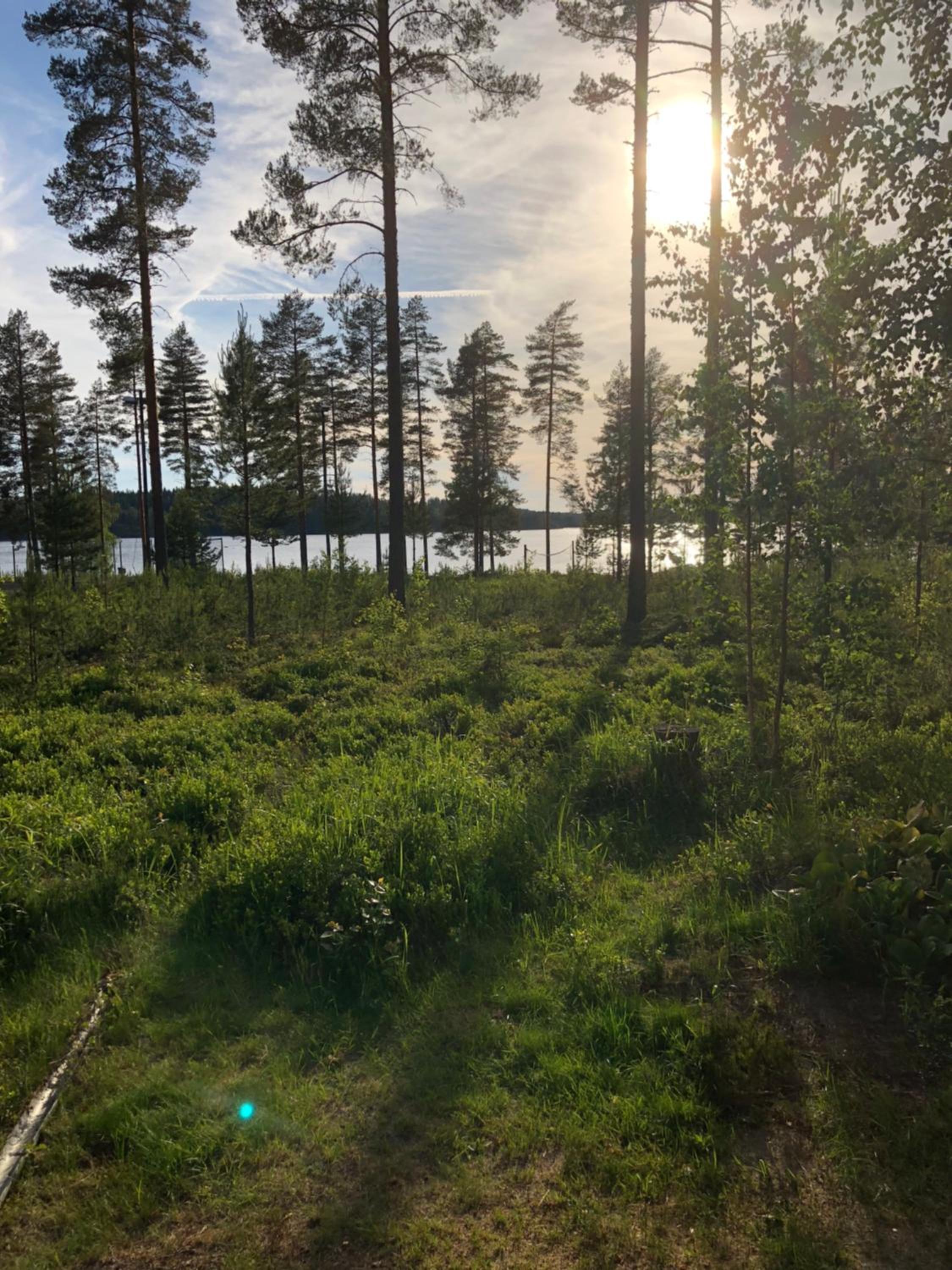 Photo 19