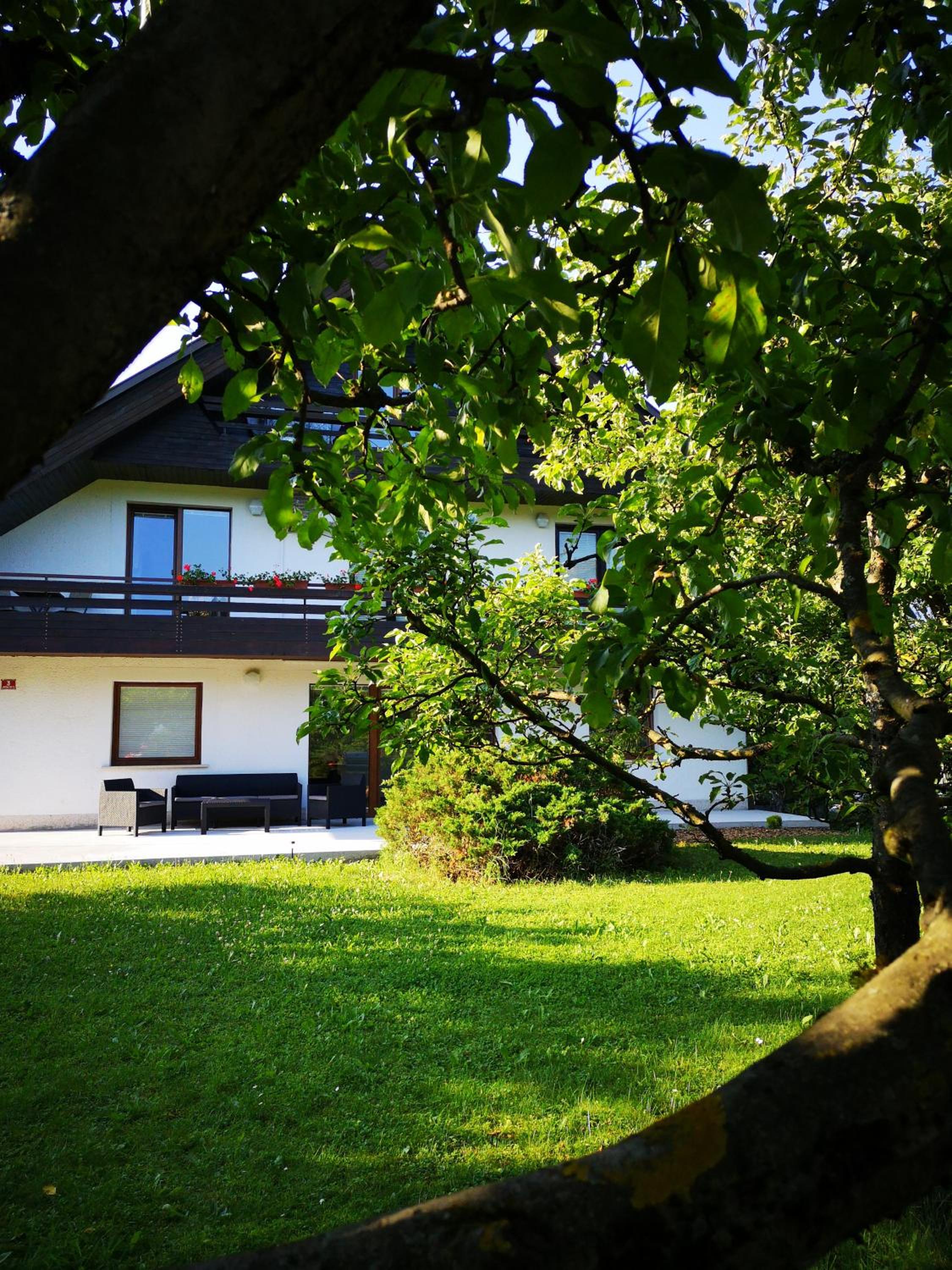 Photo 45