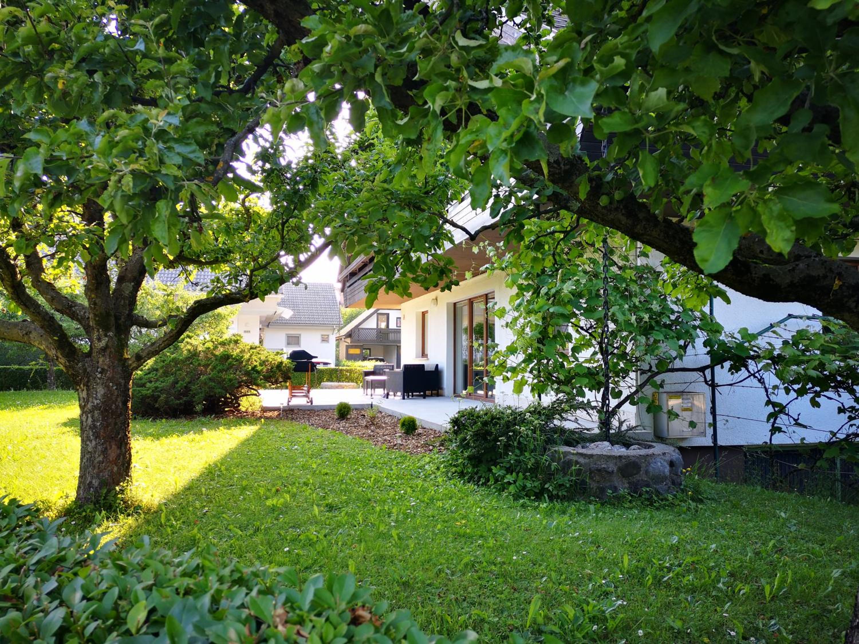 Photo 46