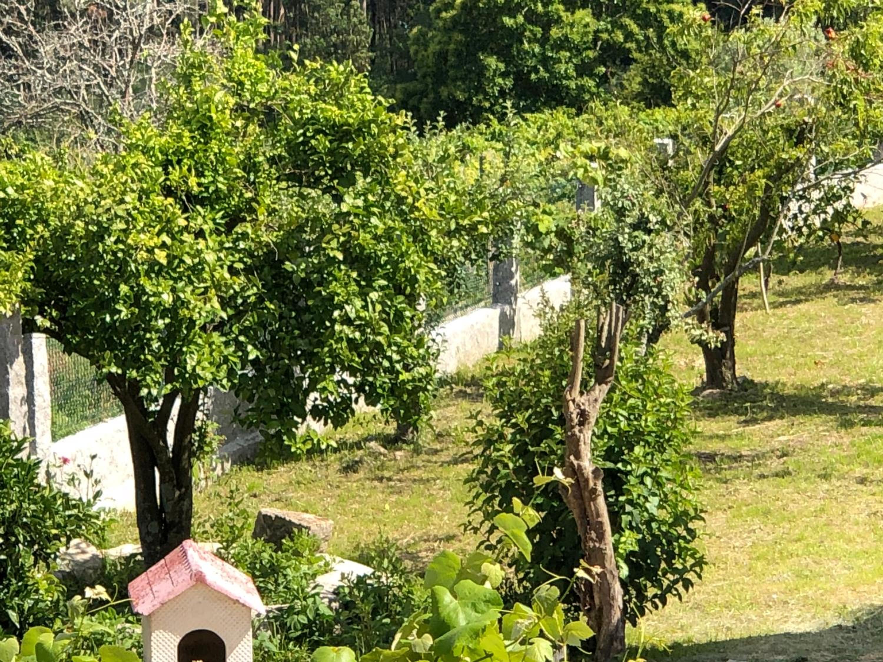 Casa Estrella