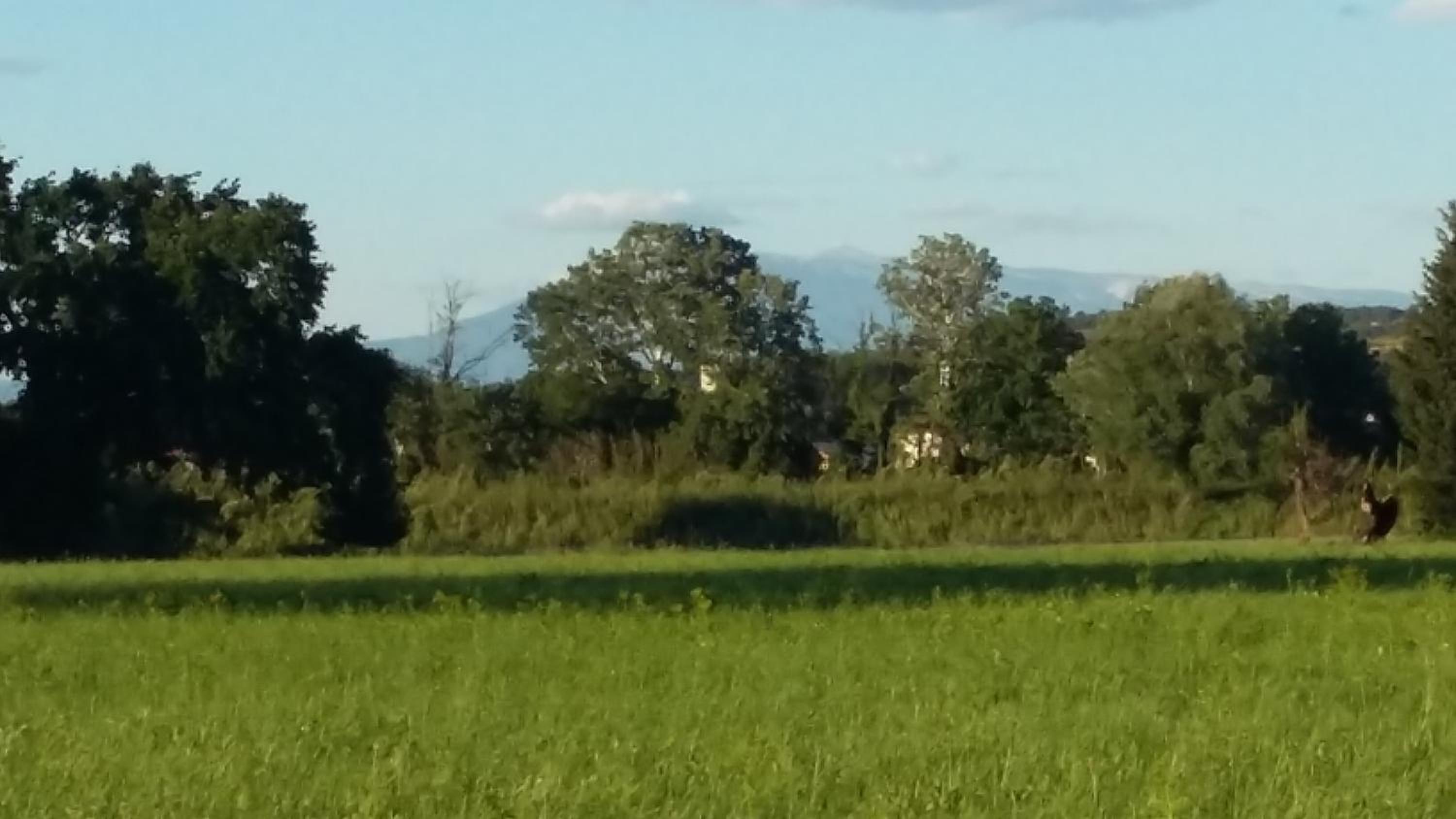 Au charme et à la campagne view 4