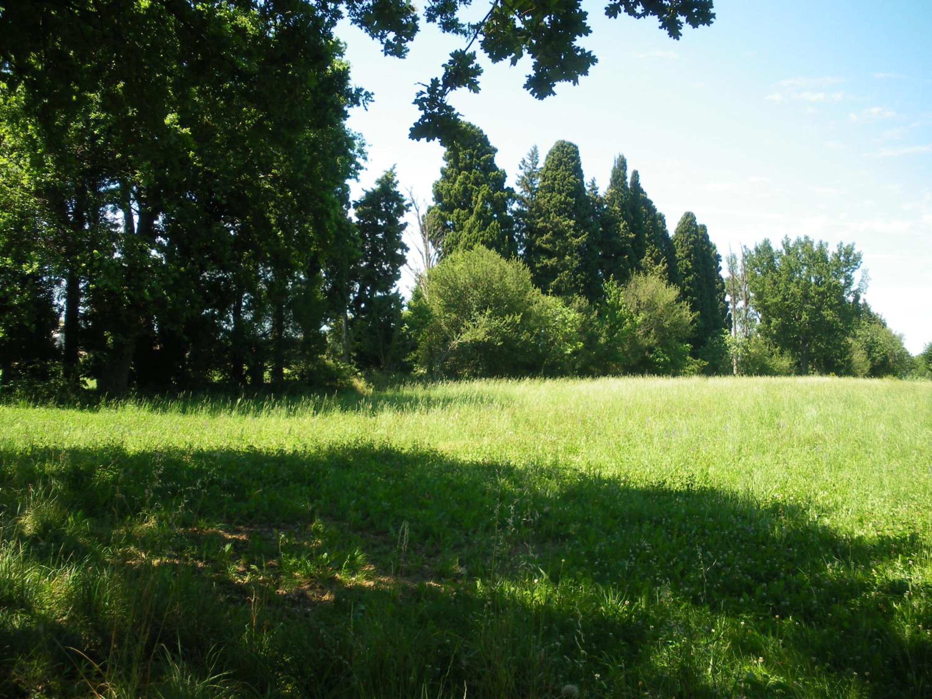 Photo 35