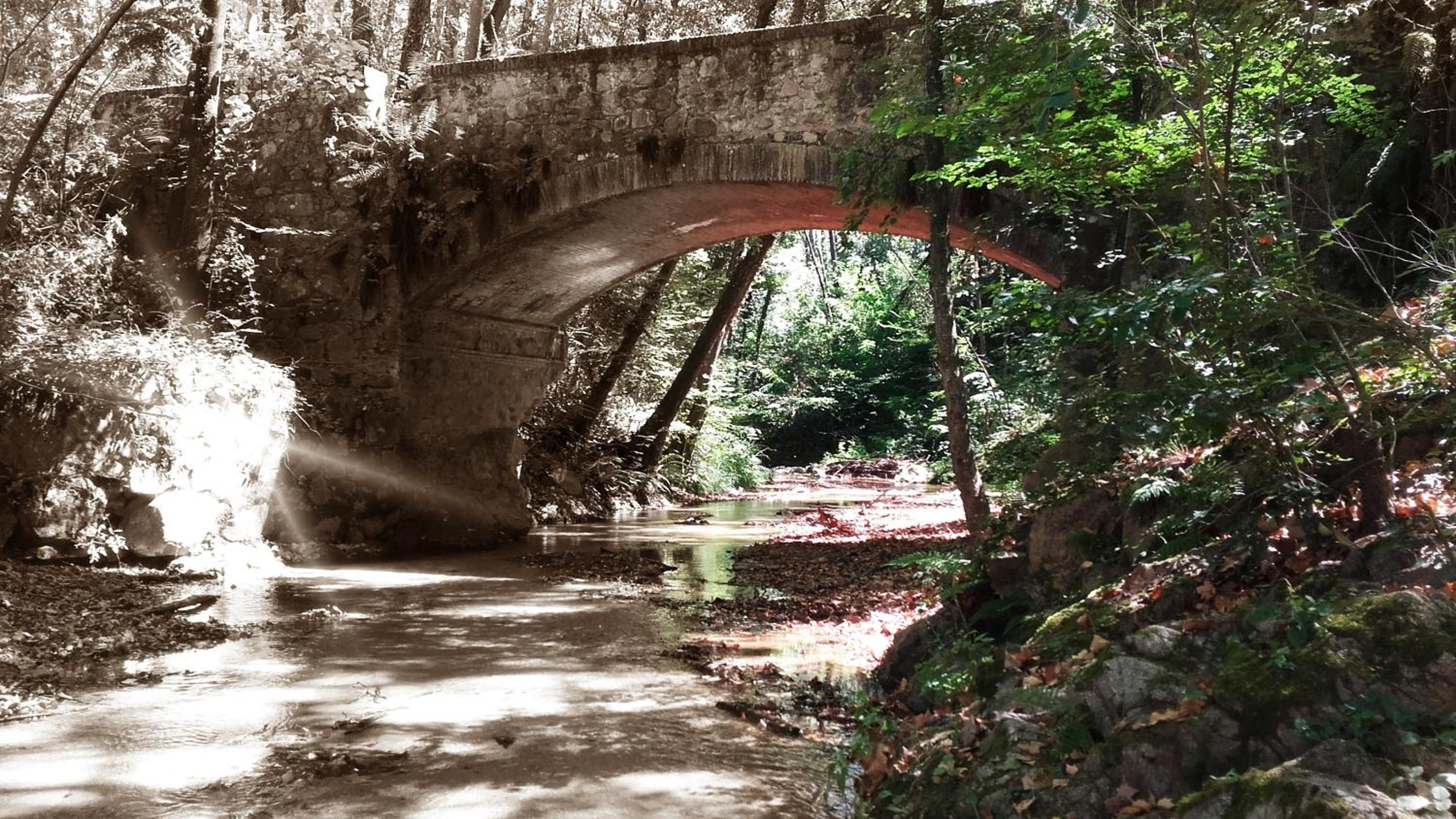 Photo 45