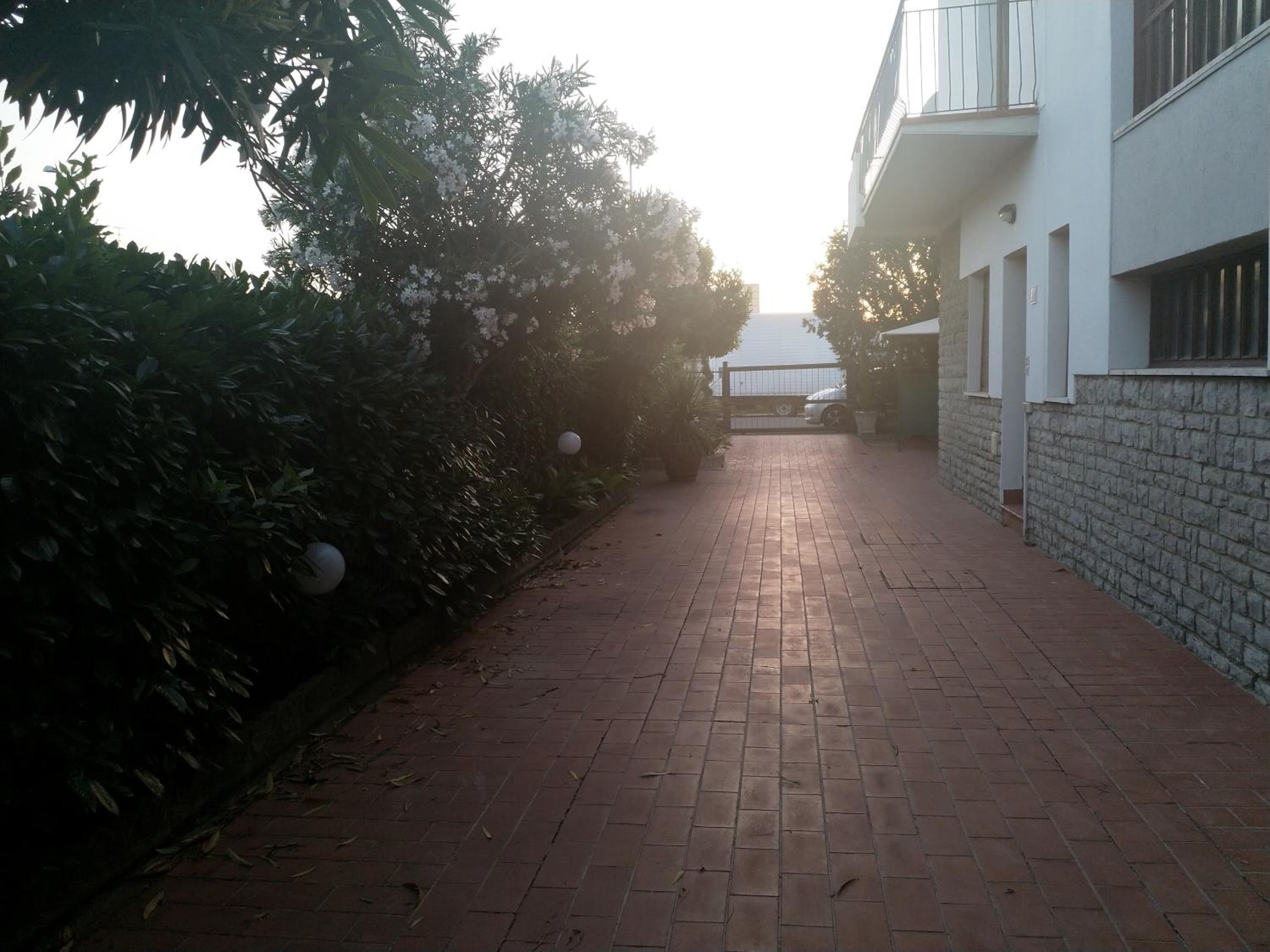 Photo 36