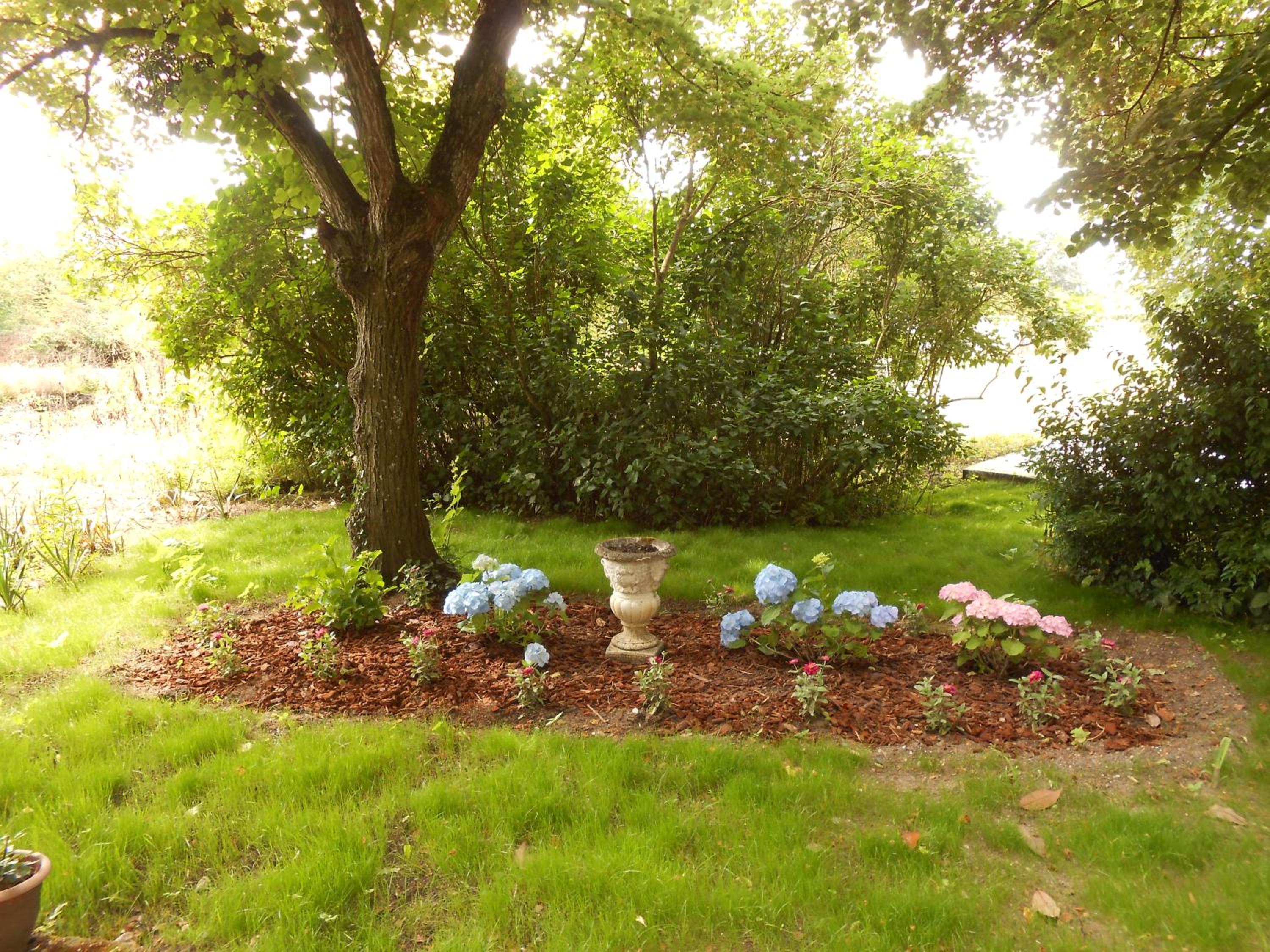 Photo 39