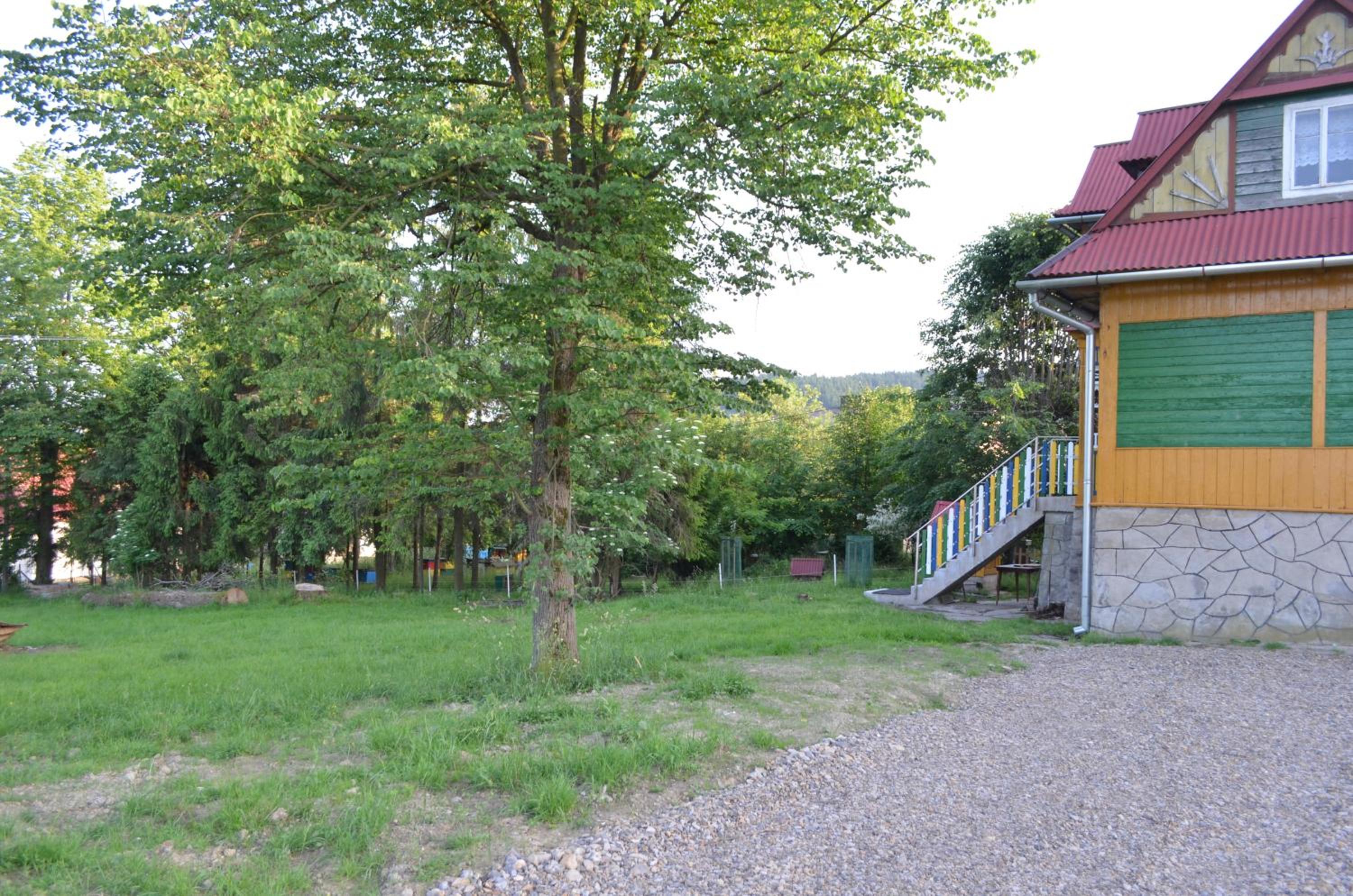 Photo 42