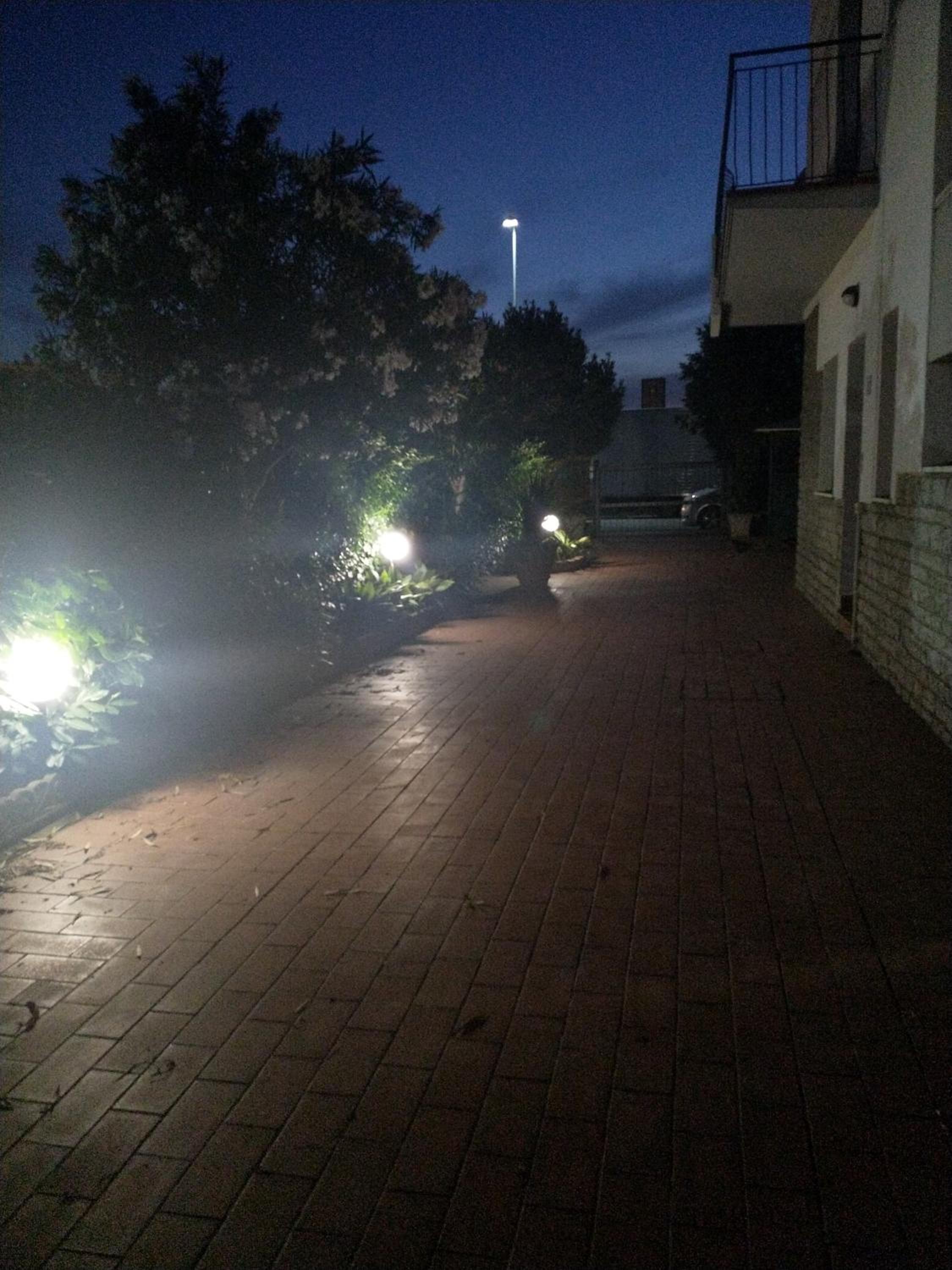 Photo 38