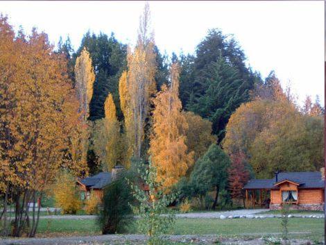 Cabañas En el Corazón del Bosque