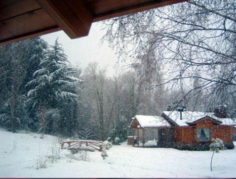 Cabañas En el Corazón del Bosque