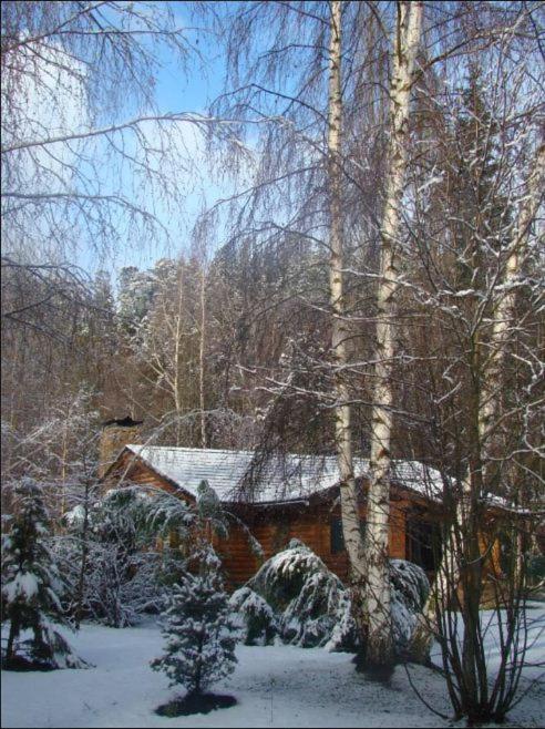 Cabañas En el Corazón del Bosque