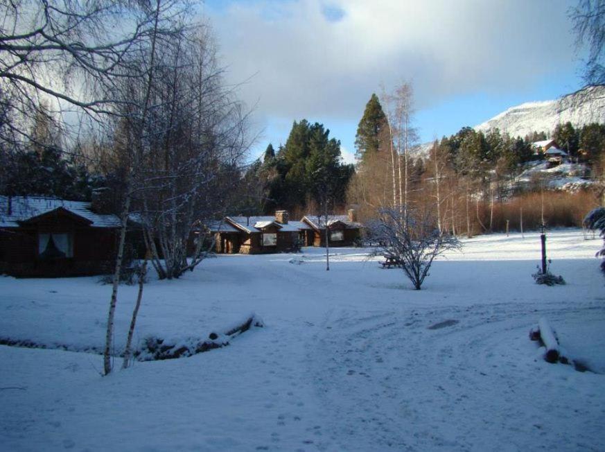 Cabañas En el Corazón del Bosque