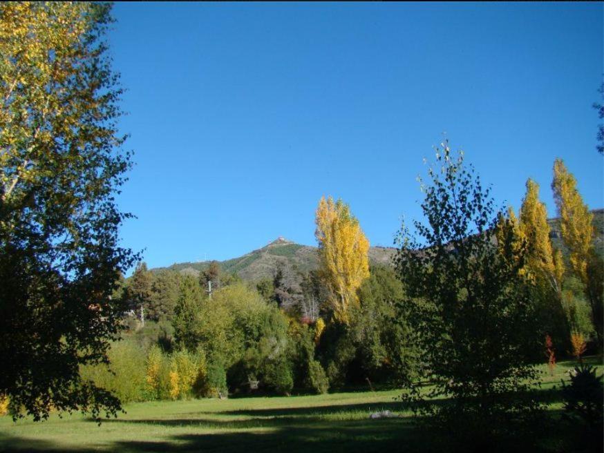 Cabañas En el Corazón del Bosque