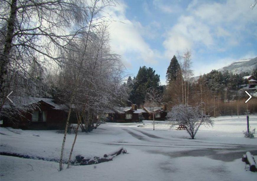Cabañas En el Corazón del Bosque
