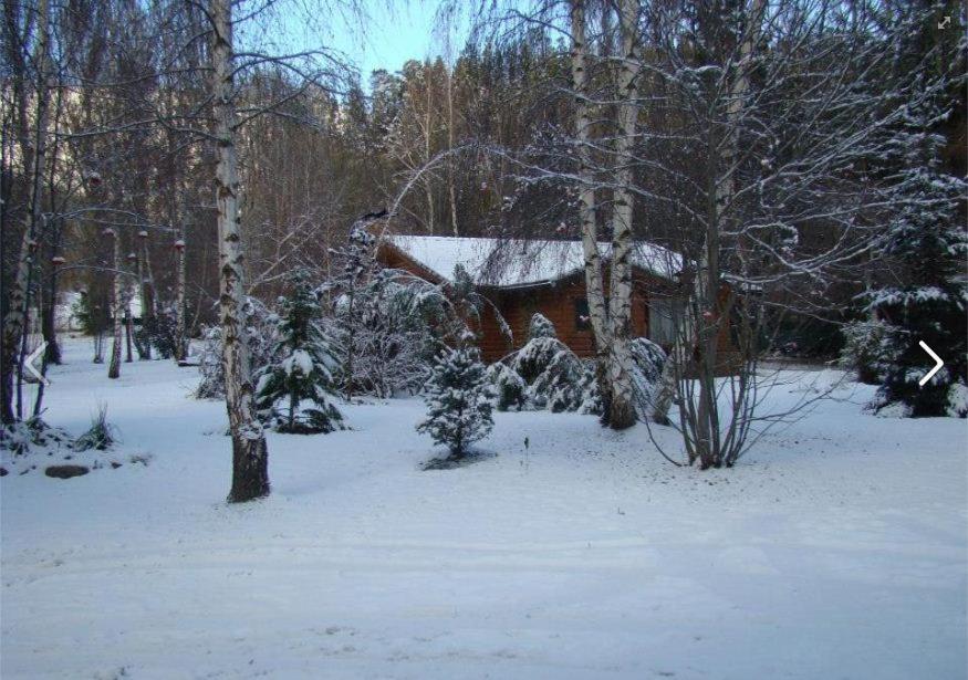 Cabañas En el Corazón del Bosque