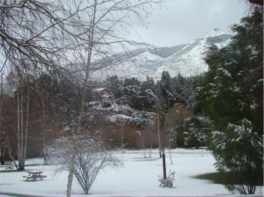 Cabañas En el Corazón del Bosque