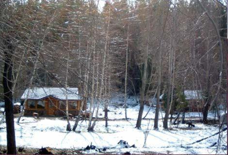 Cabañas En el Corazón del Bosque