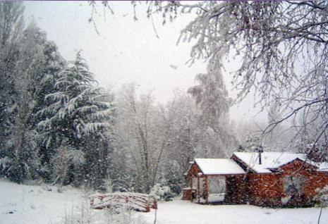 Cabañas En el Corazón del Bosque