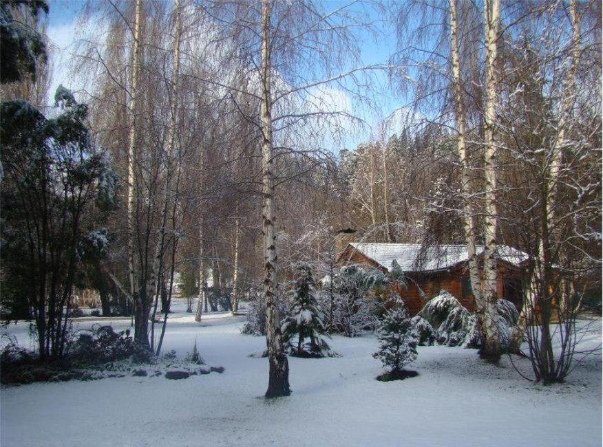Cabañas En el Corazón del Bosque