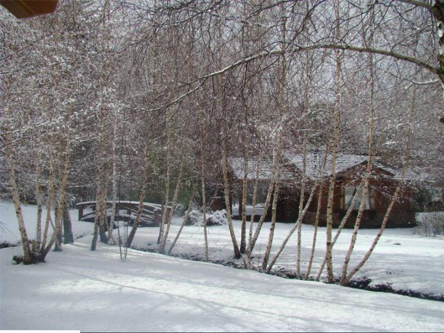 Cabañas En el Corazón del Bosque