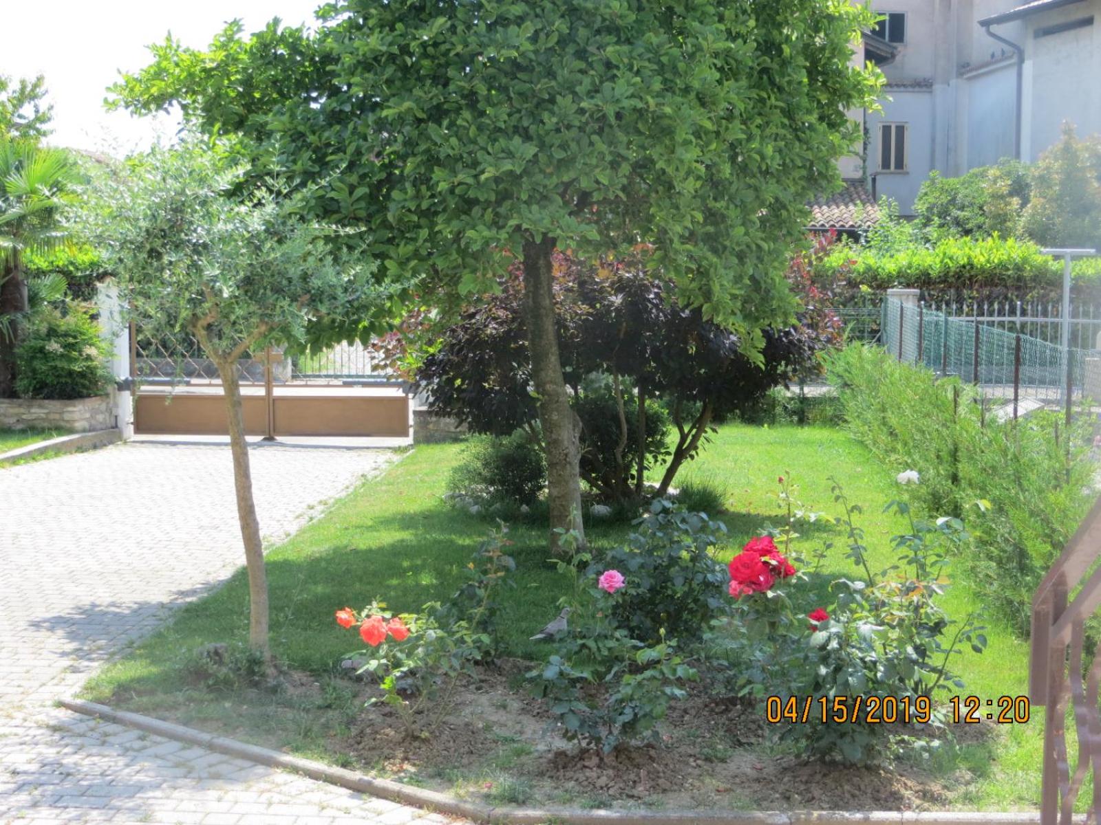 Photo 17
