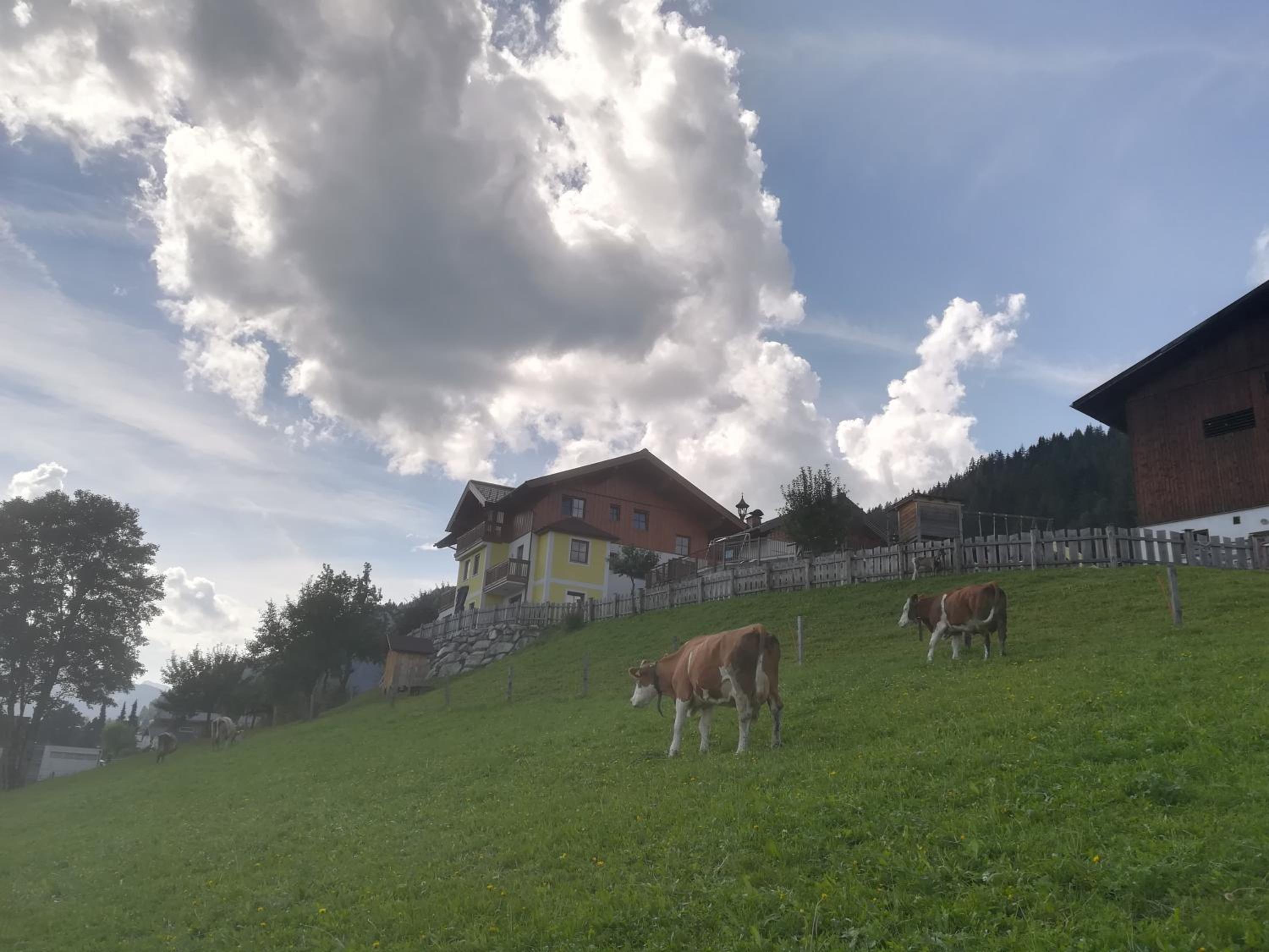 Bauernhof Unterbichl