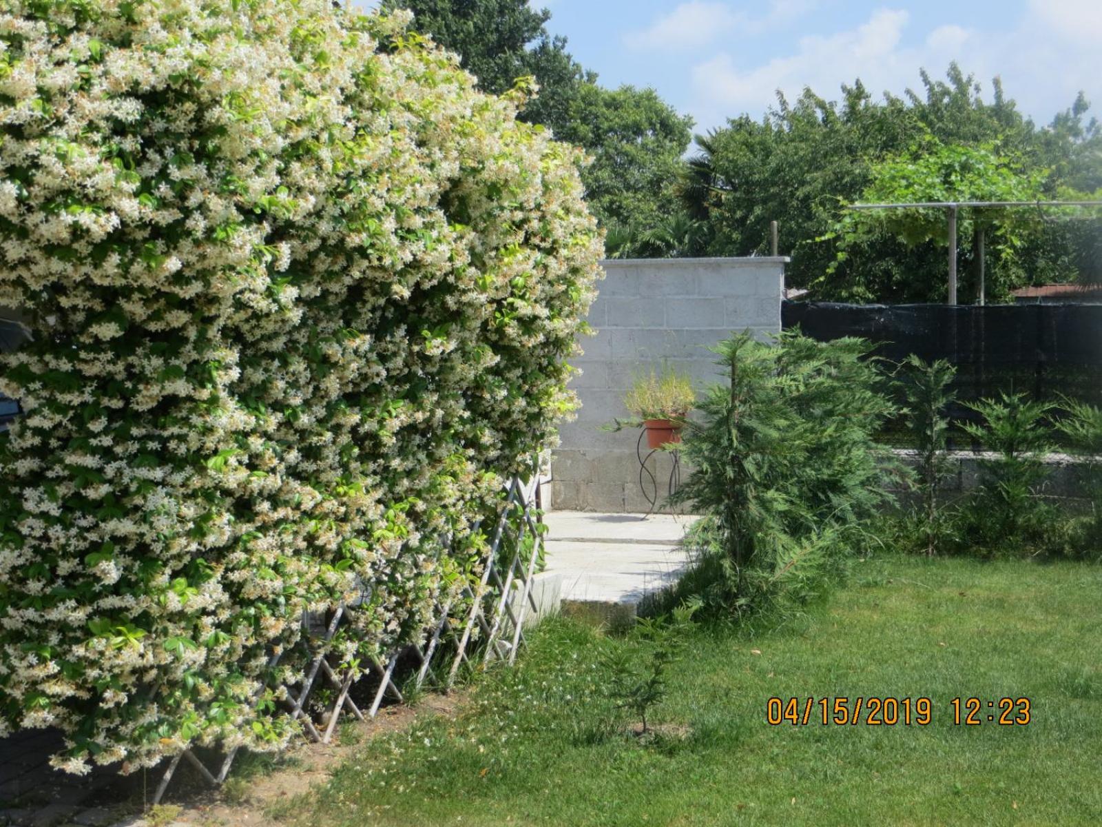 Photo 15