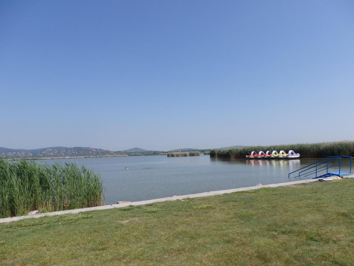 Orgona Vendégház, photo 22
