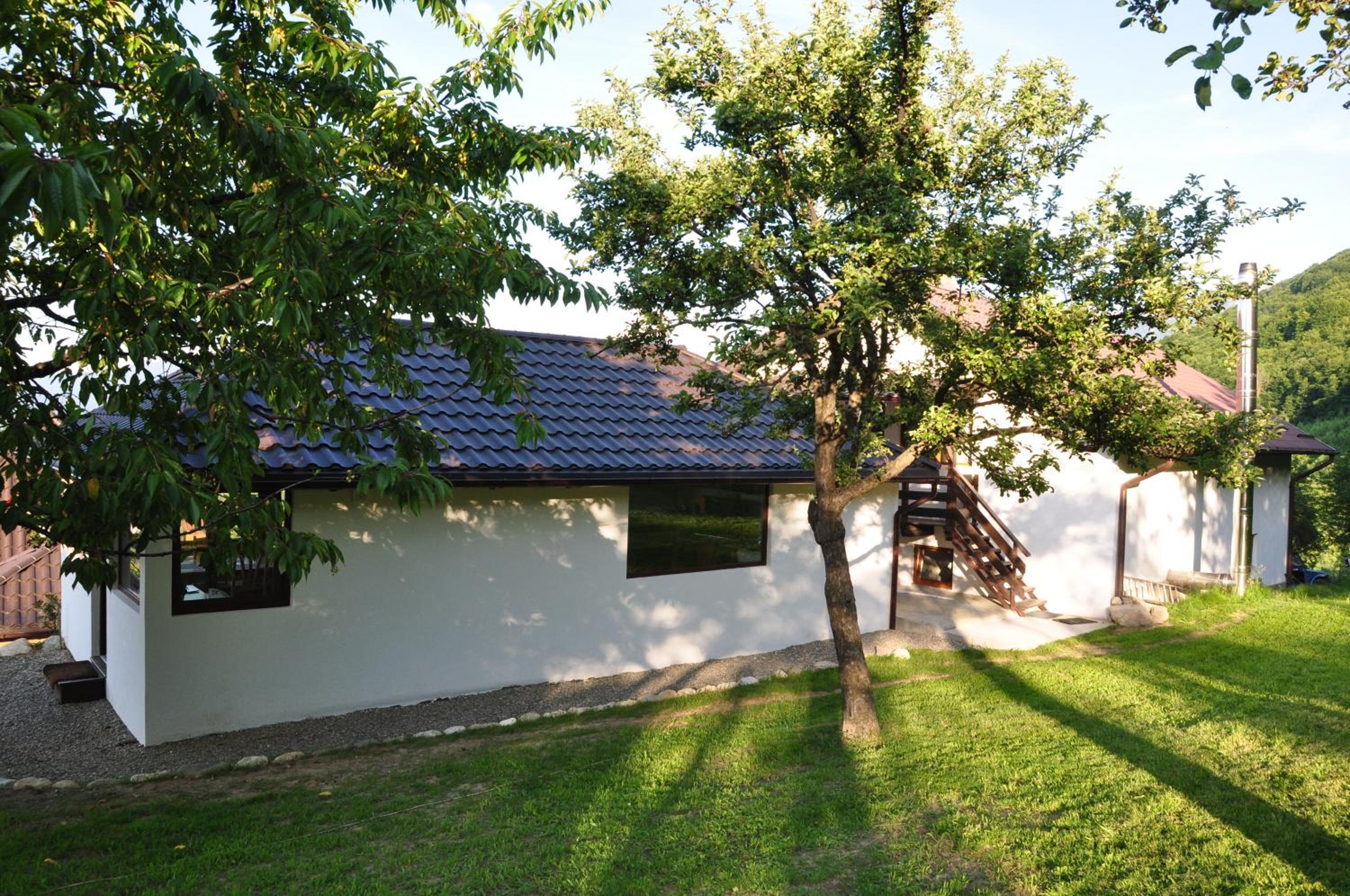 Photo 46