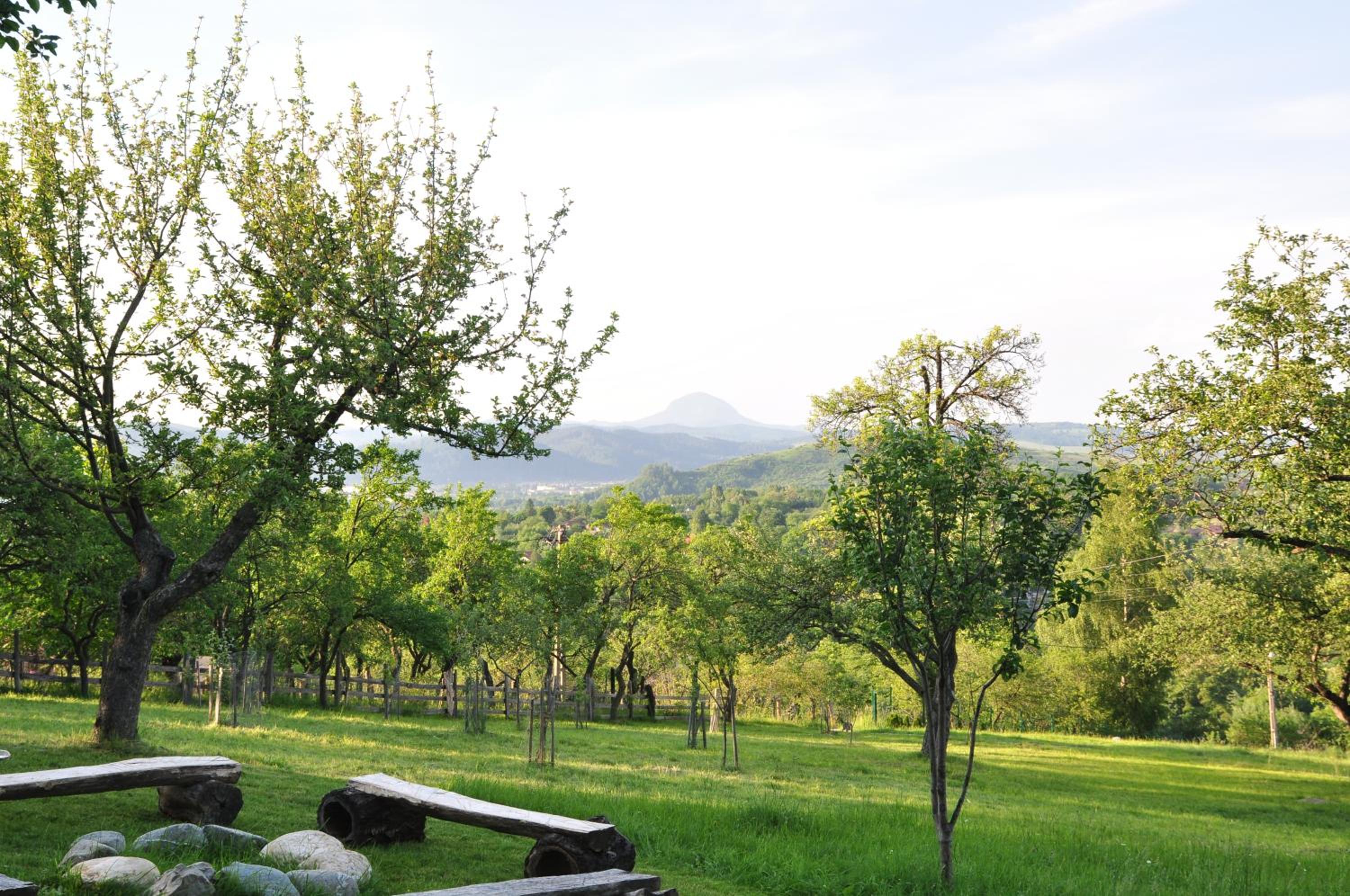Trout Cottage view 5