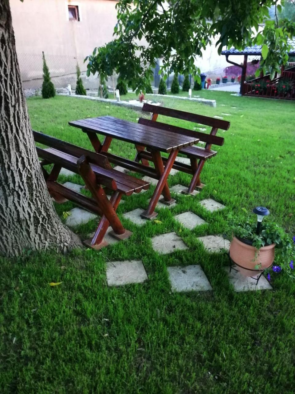 Photo 7