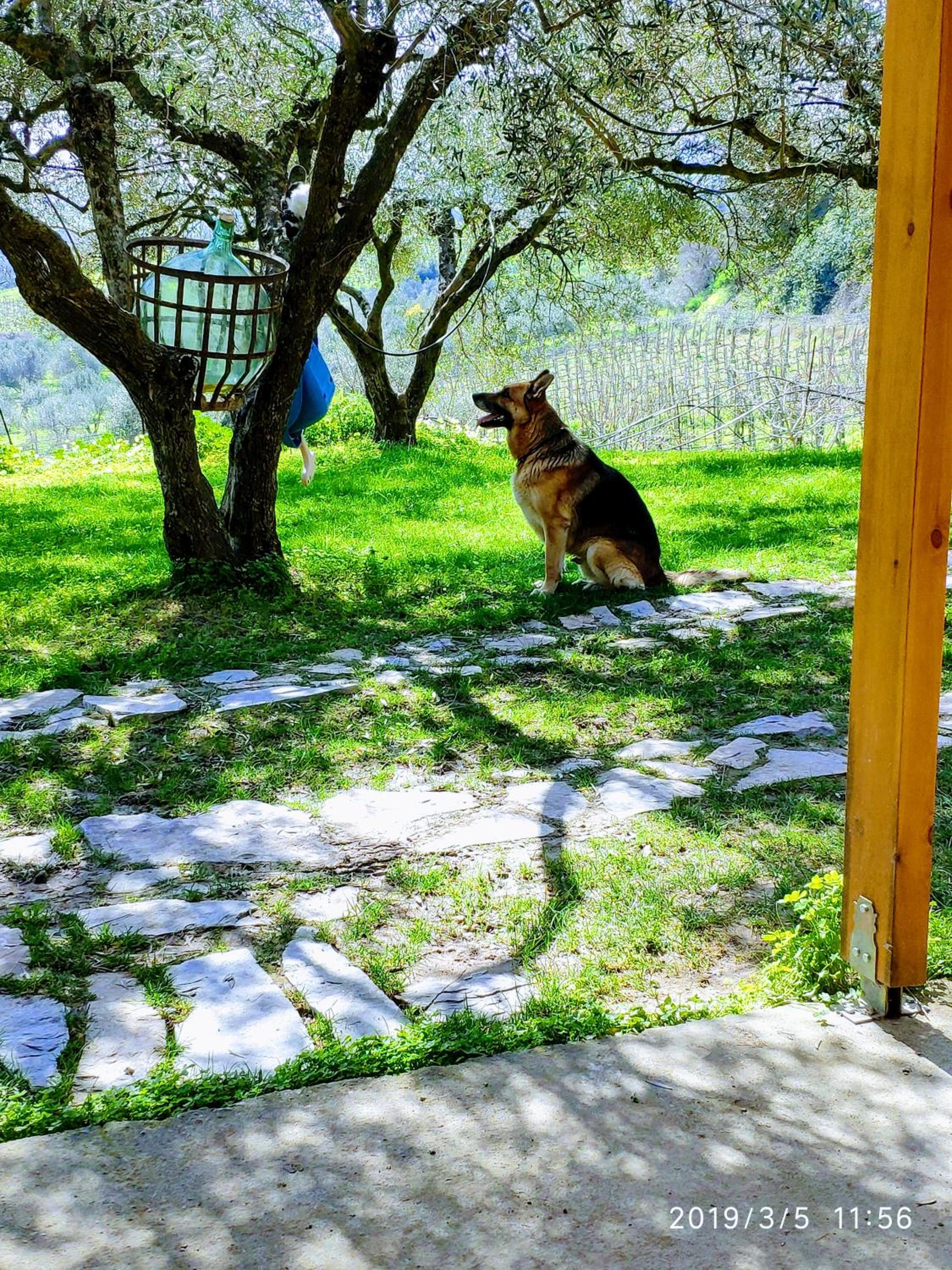 Green Farm-small paradise! photo 2