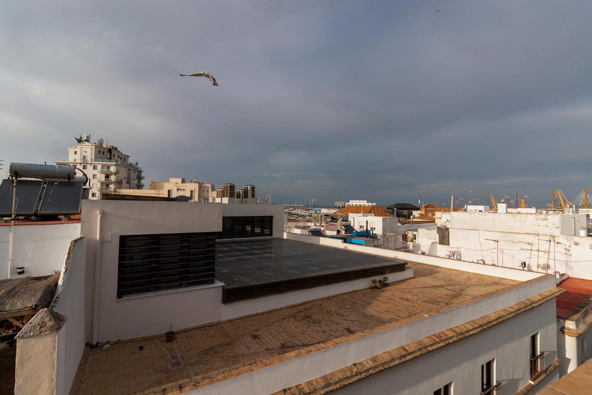 roof