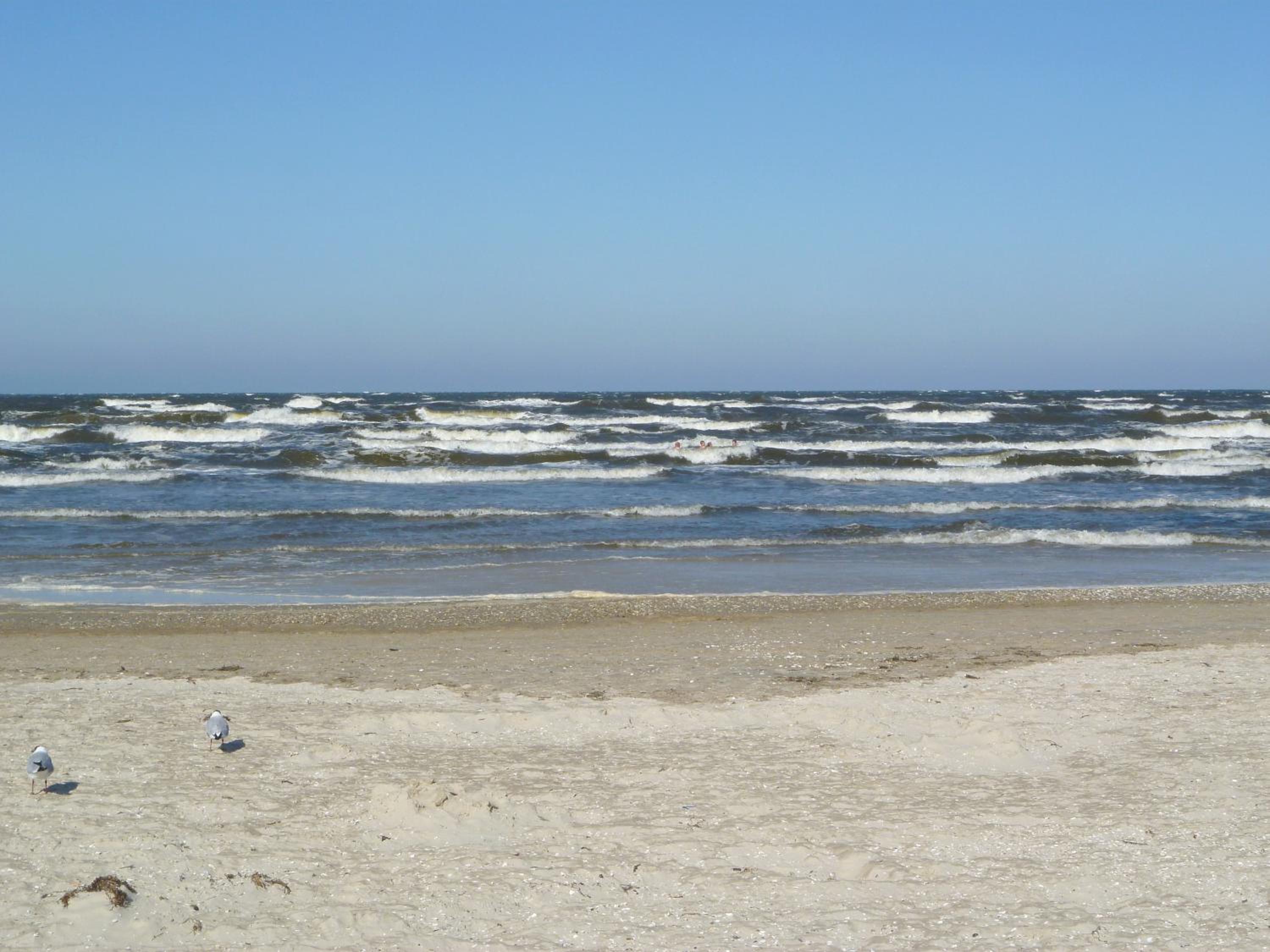 Appartement Strandperle - strandnahe, ruhige Toplage