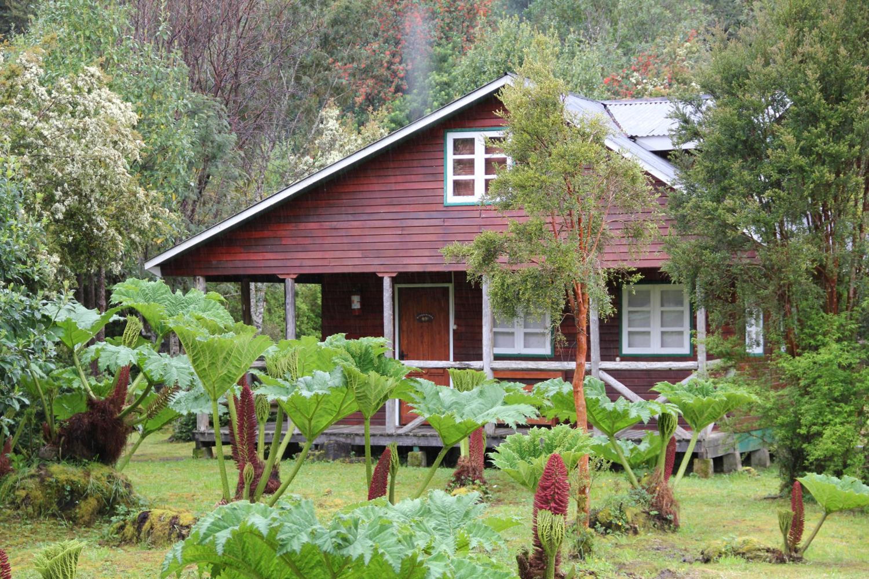 garden