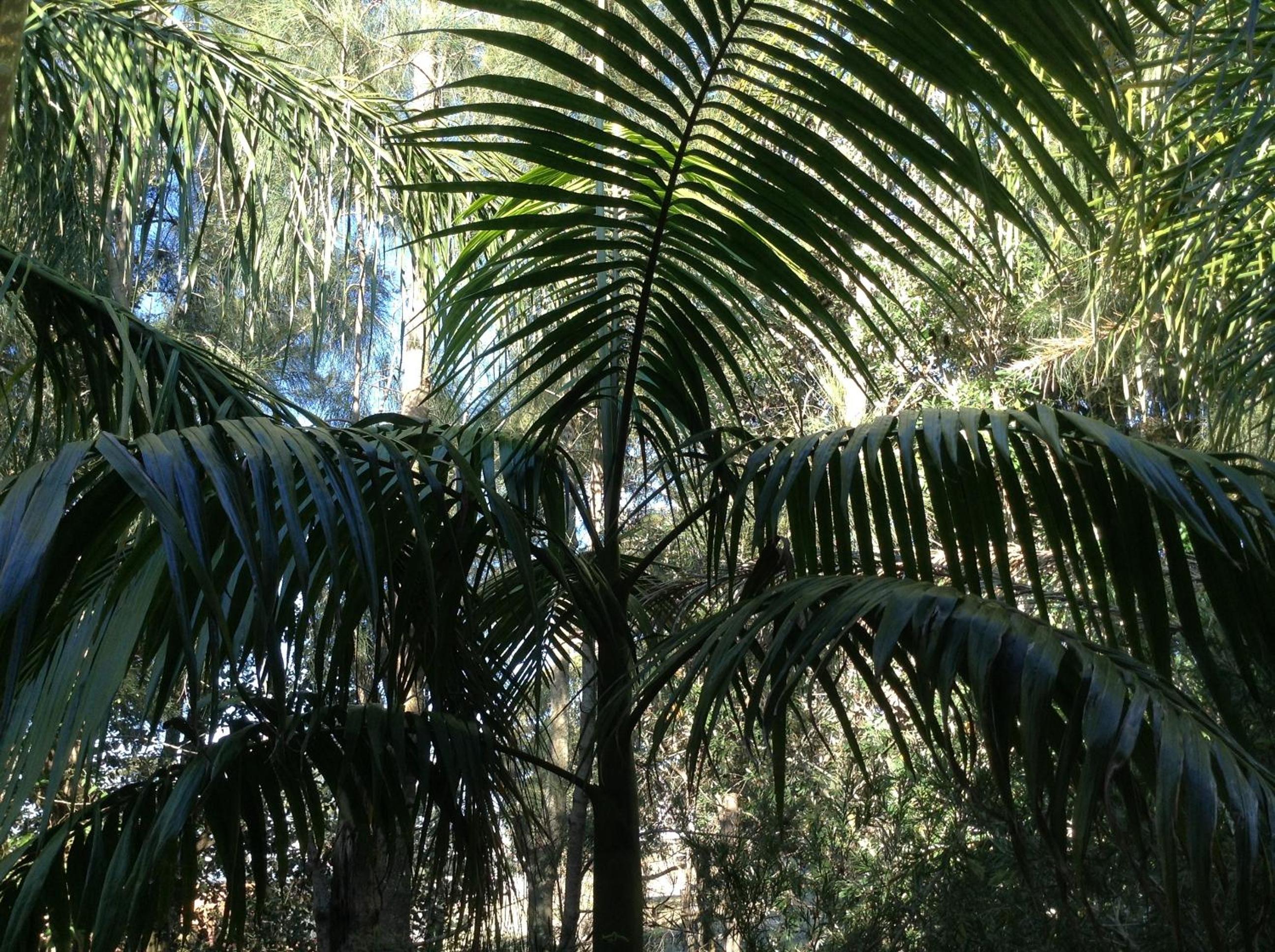 Photo 13
