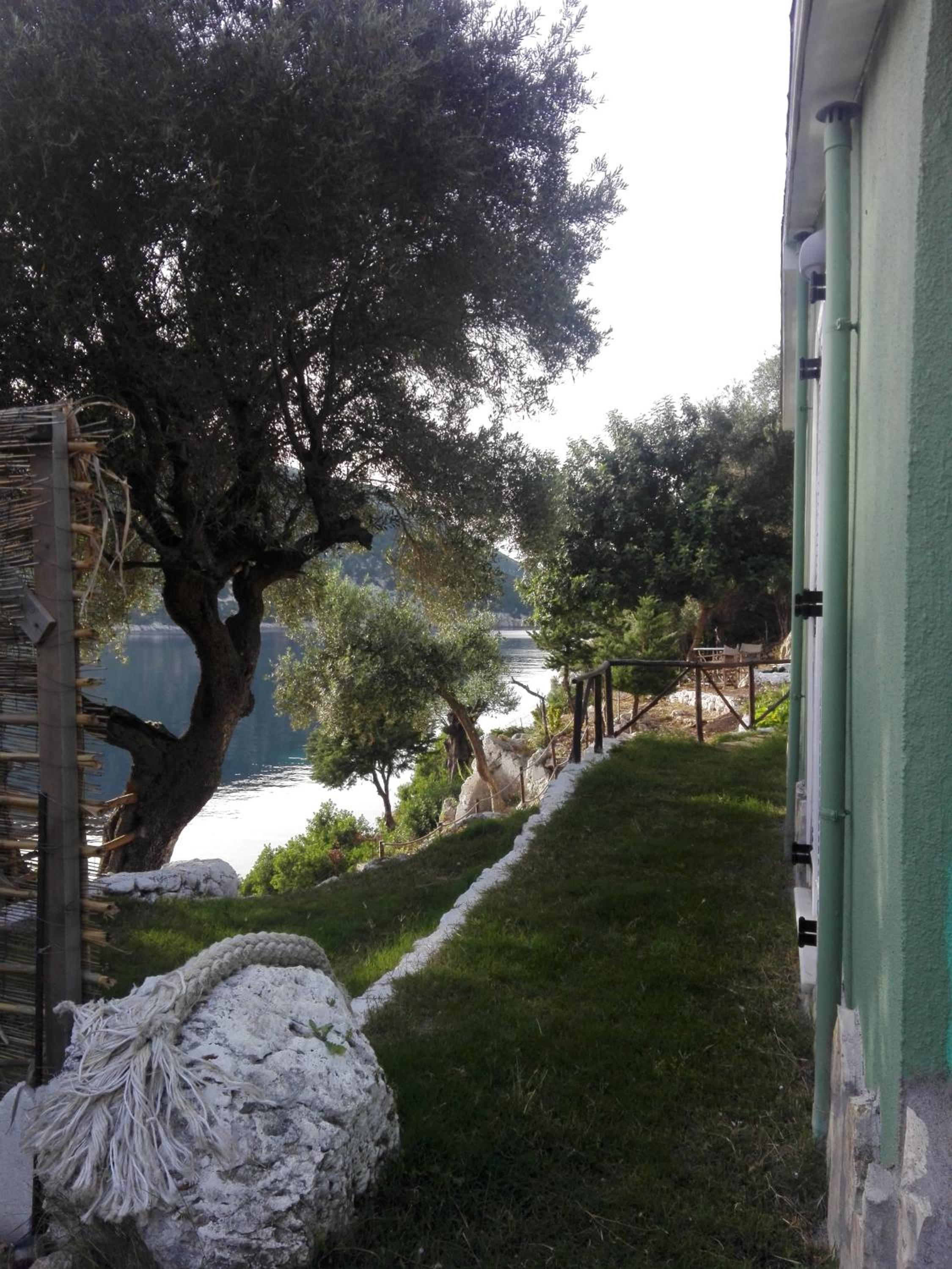 Photo 44