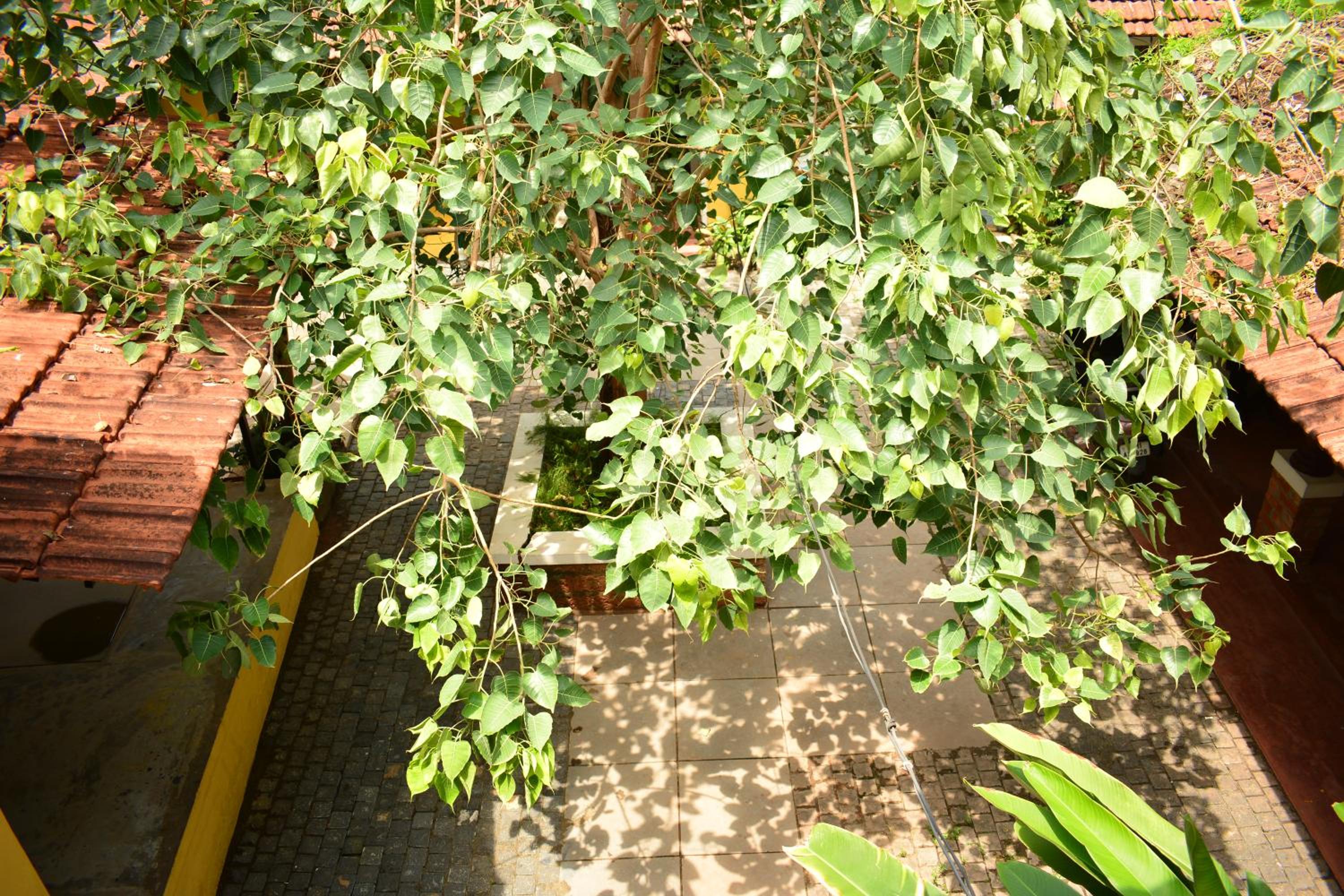 Design Ashram view 5