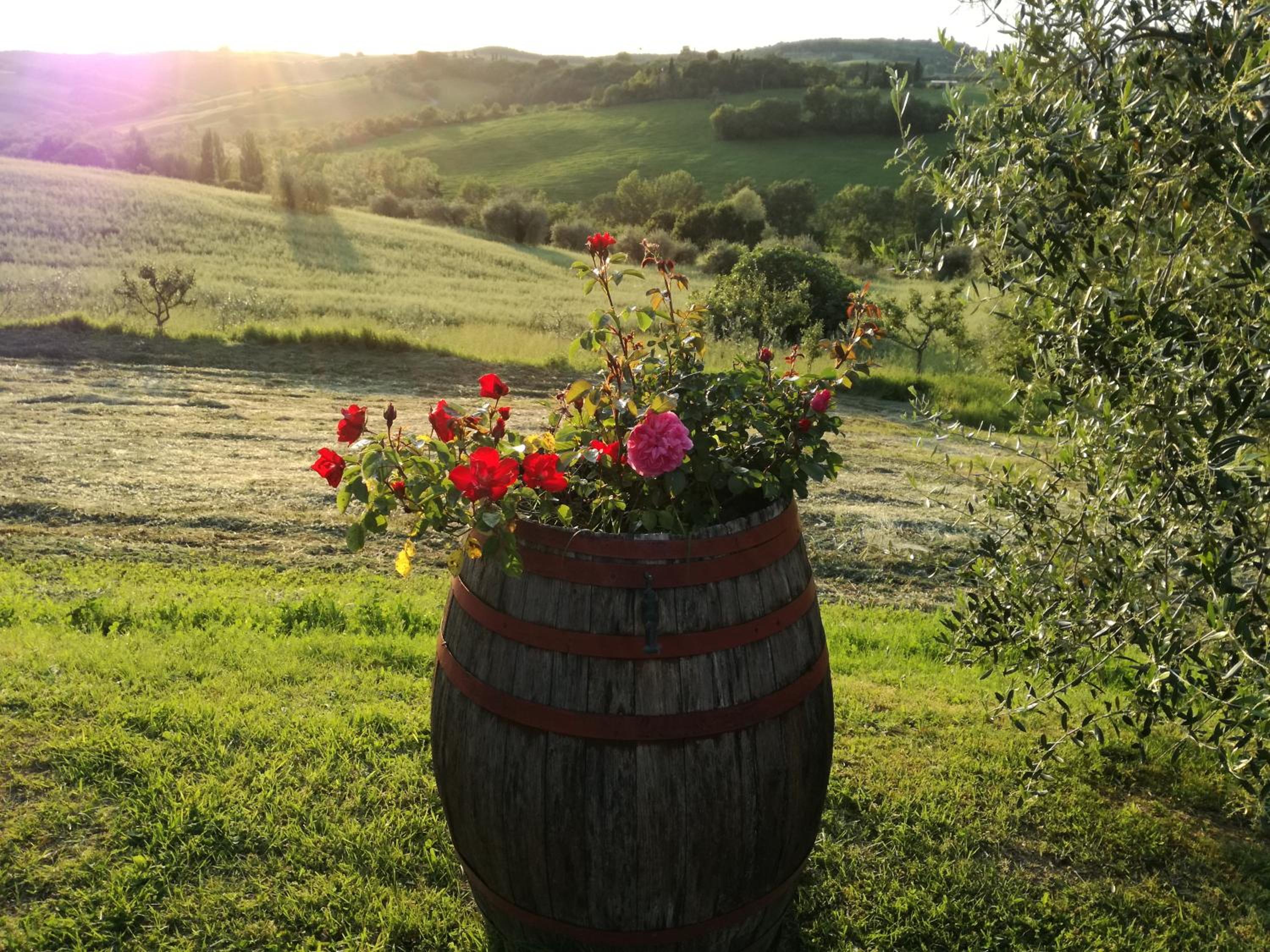 La Pievina
