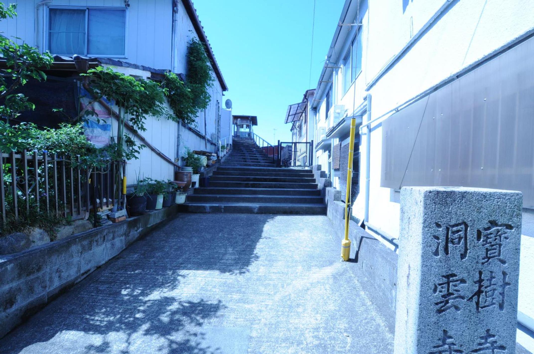Photo 35